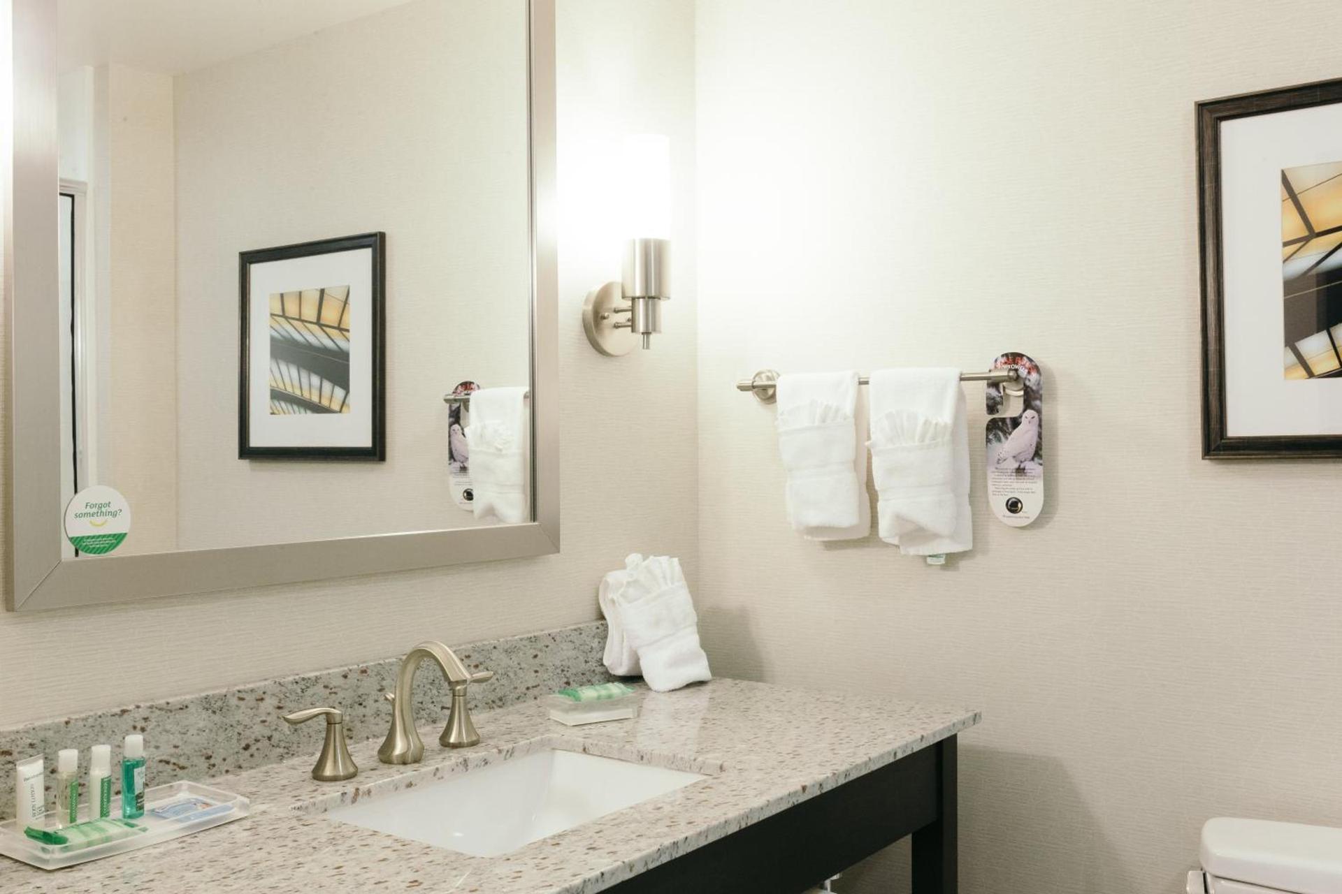 Holiday Inn and Suites East Peoria by IHG photo 85