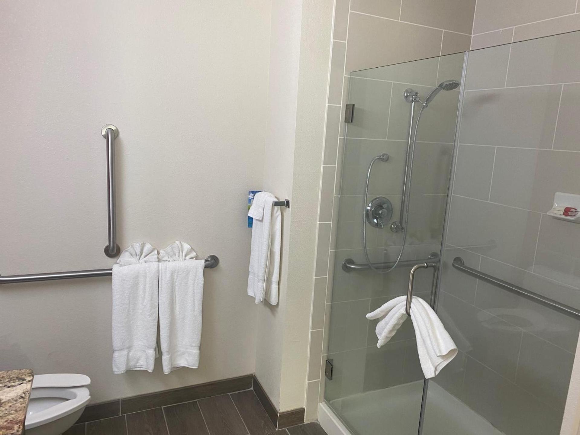 Baymont by Wyndham Hobbs photo 4