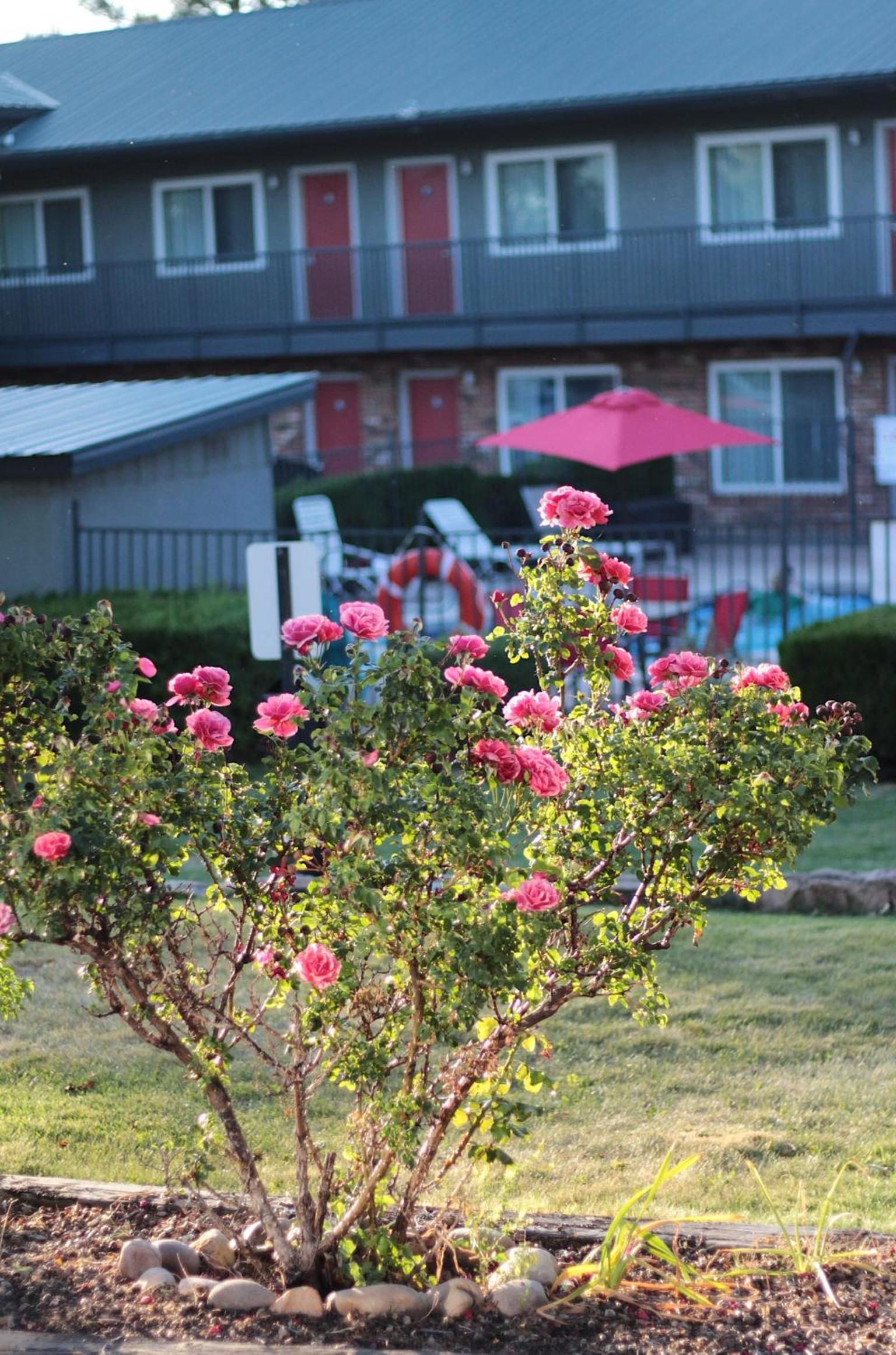 Days Inn by Wyndham Show Low photo 50