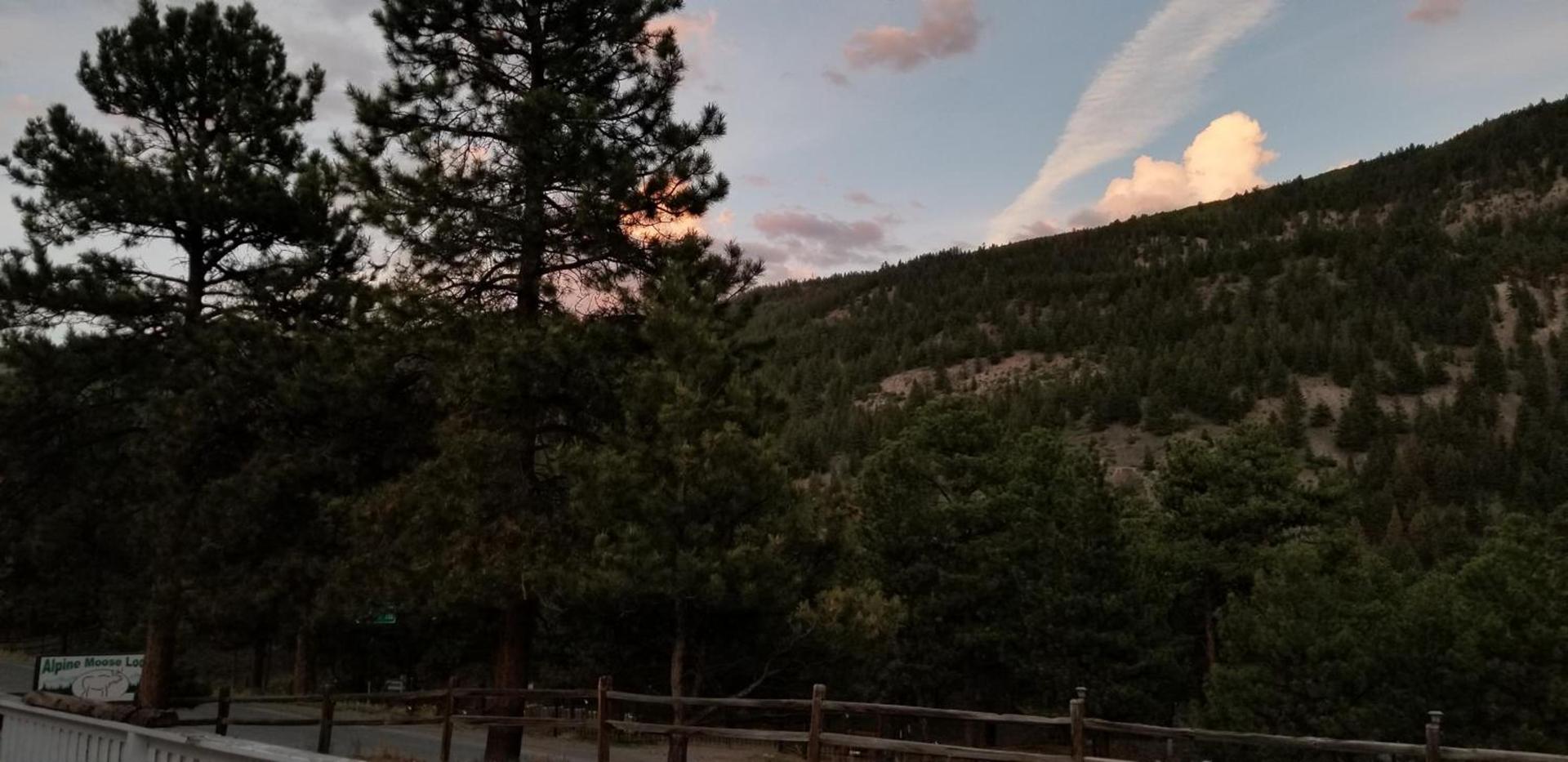 Alpine Moose Lodge photo 19
