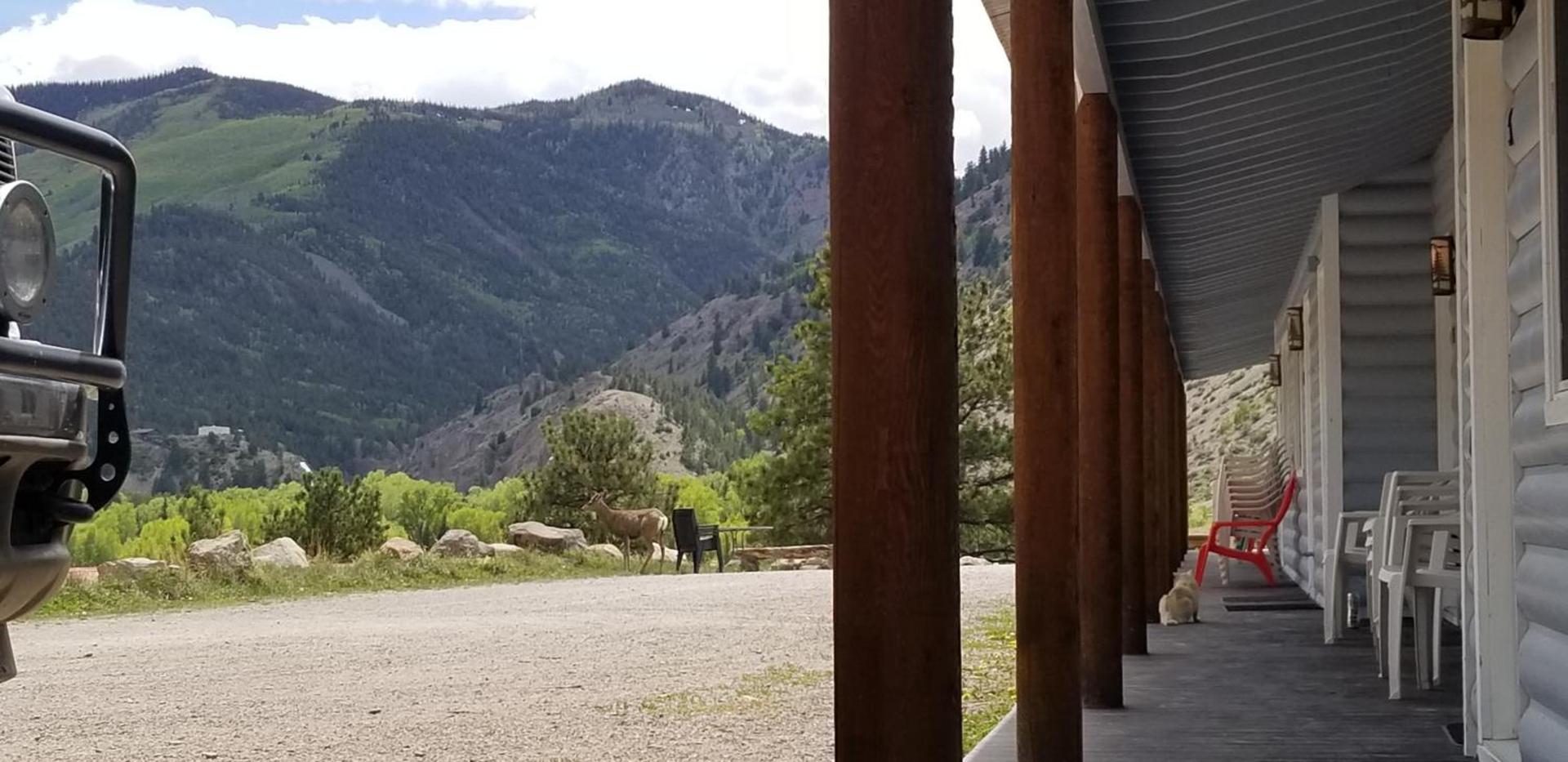 Alpine Moose Lodge photo 18