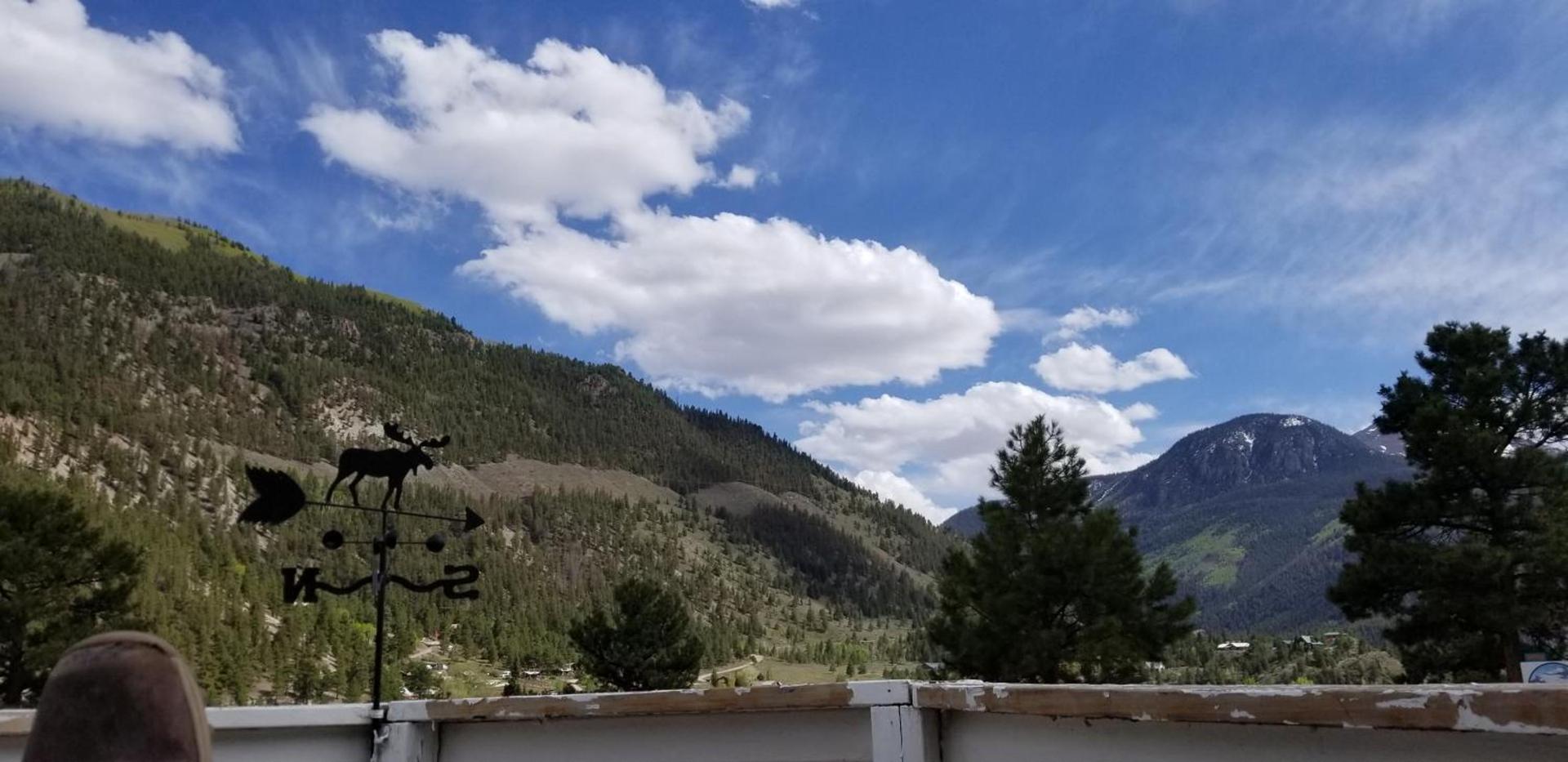Alpine Moose Lodge photo 22