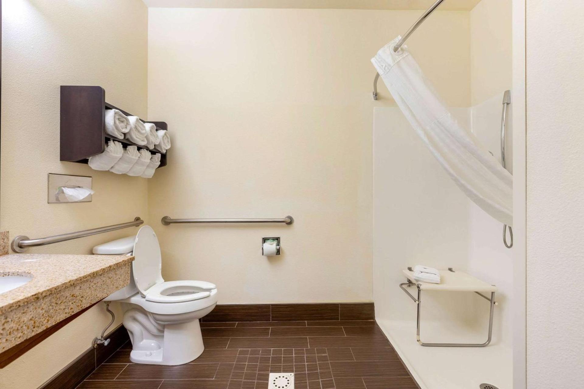 Comfort Suites Stevensville - St Joseph photo 34