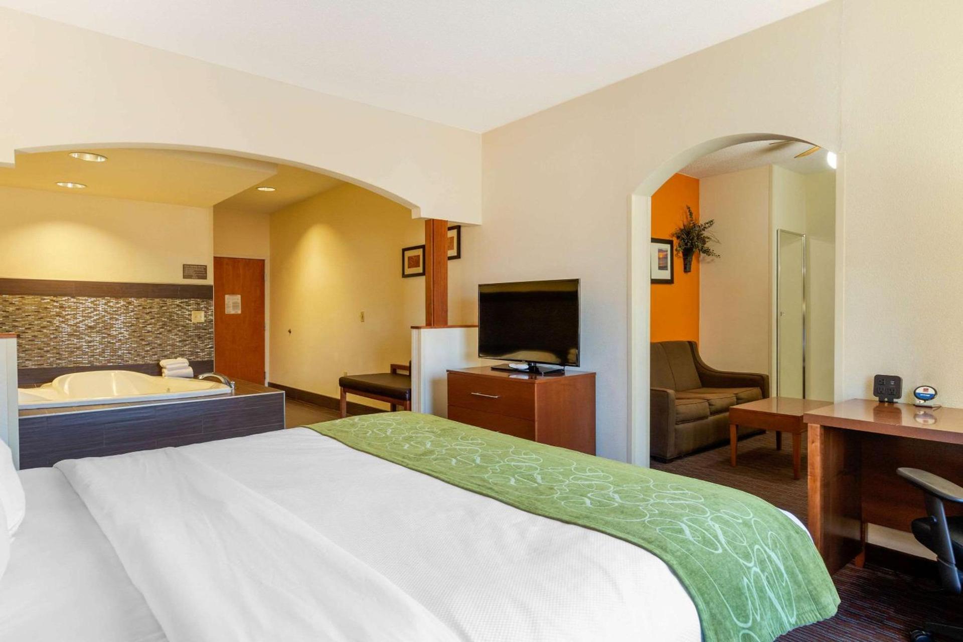 Comfort Suites Stevensville - St Joseph photo 30