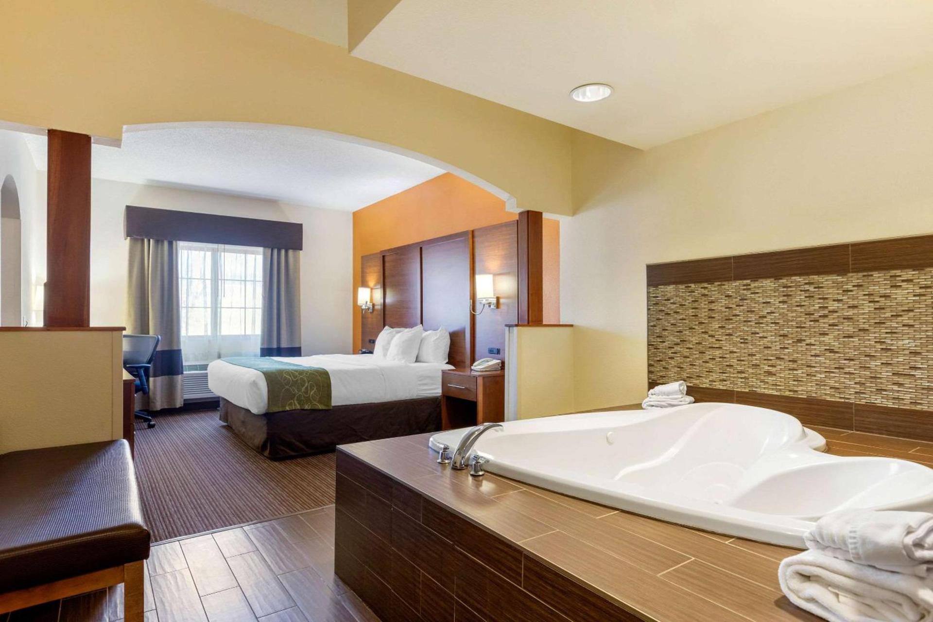 Comfort Suites Stevensville - St Joseph photo 32