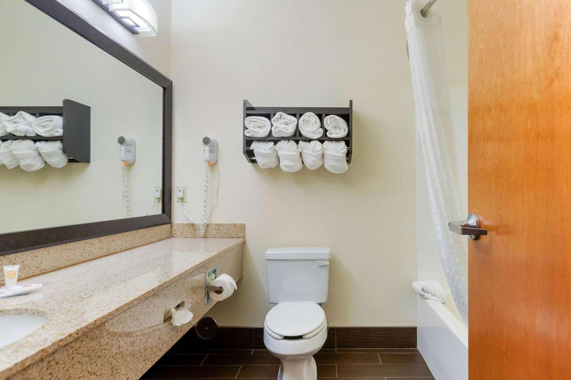 Comfort Suites Stevensville - St Joseph photo 27