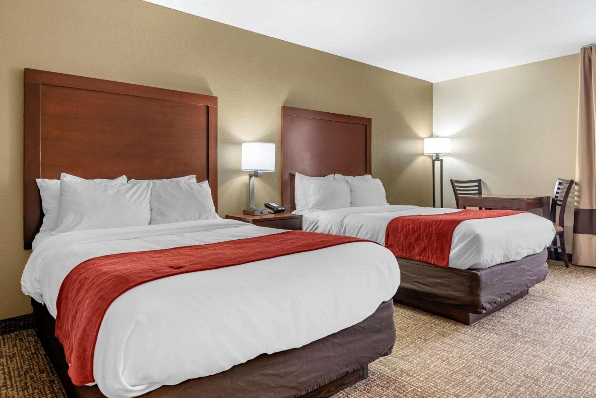 Comfort Inn & Suites Cincinnati Eastgate photo 5