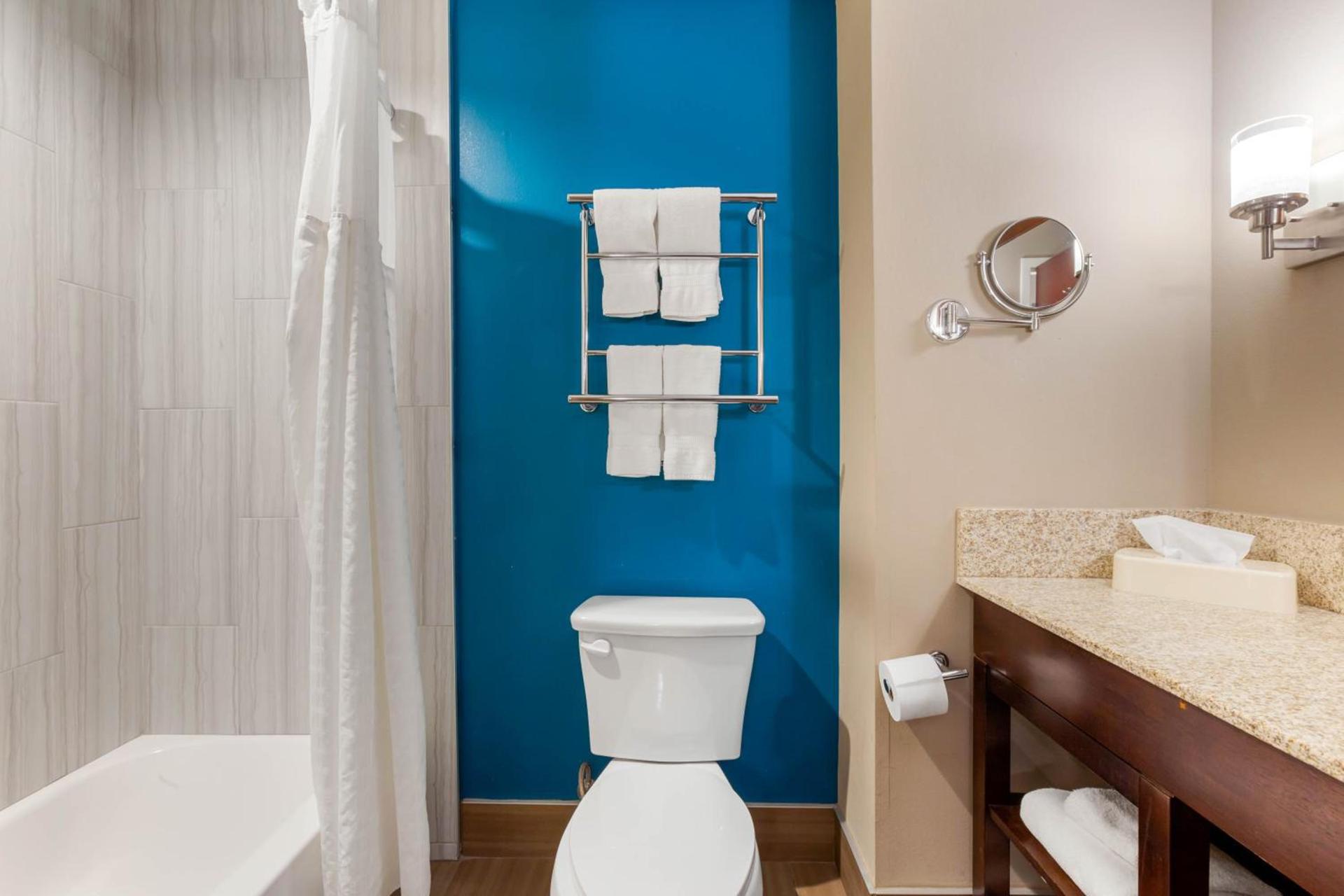 Comfort Suites of Las Cruces I-25 North photo 93