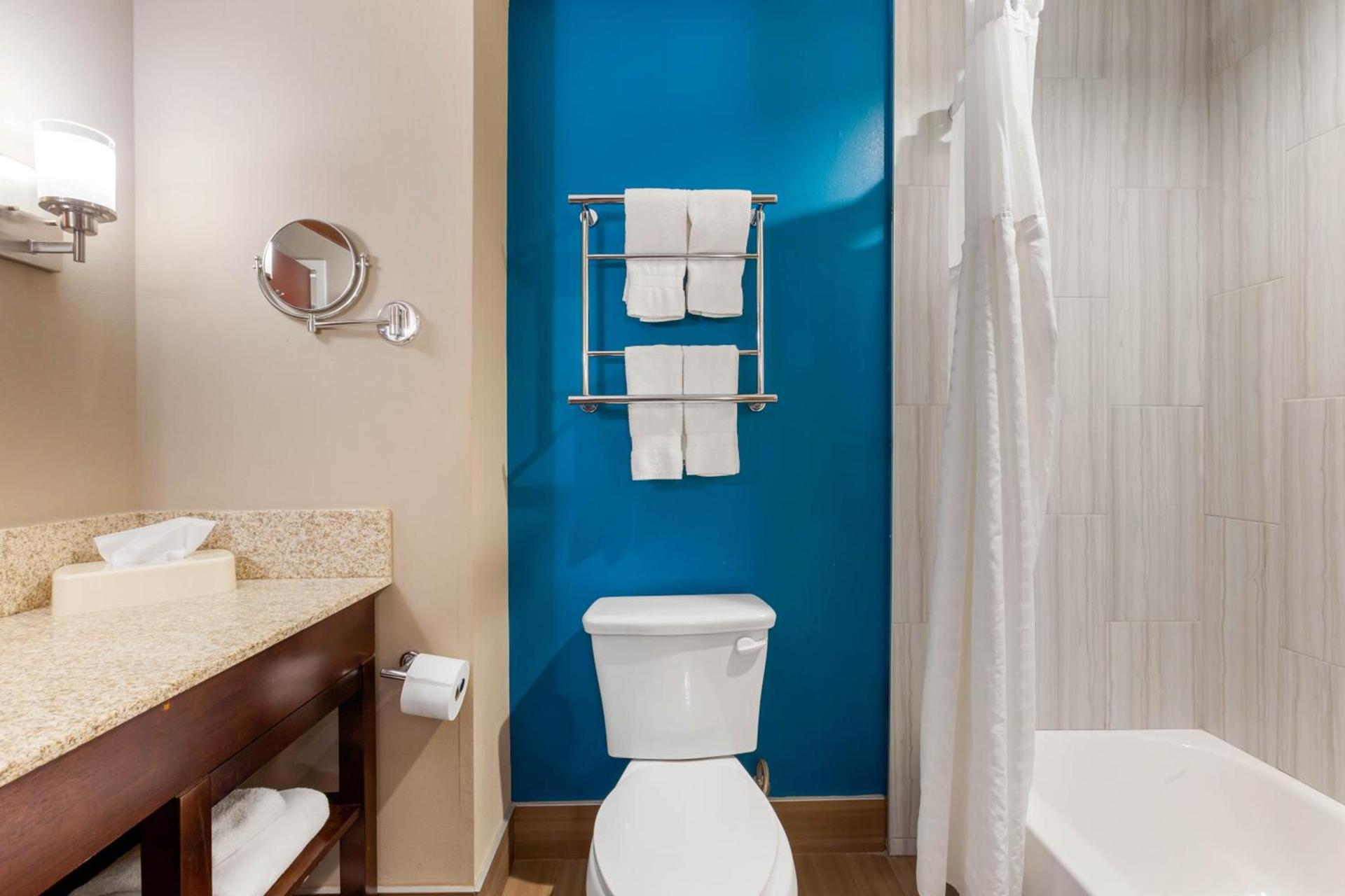 Comfort Suites of Las Cruces I-25 North photo 96
