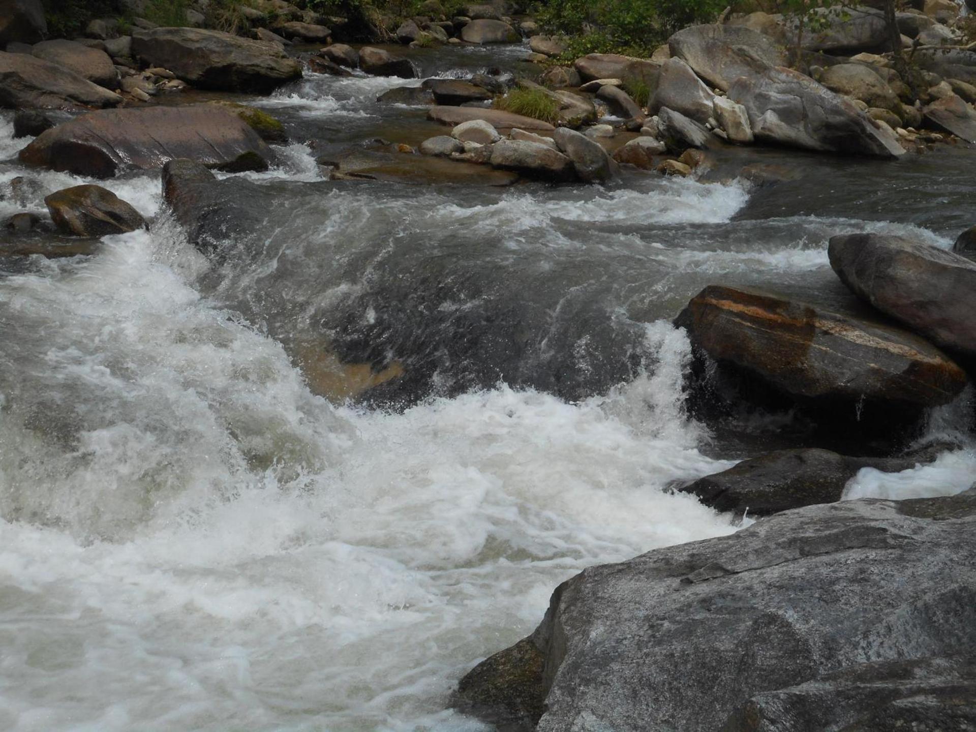 The Evening Shade River Lodge and Cabins photo 7