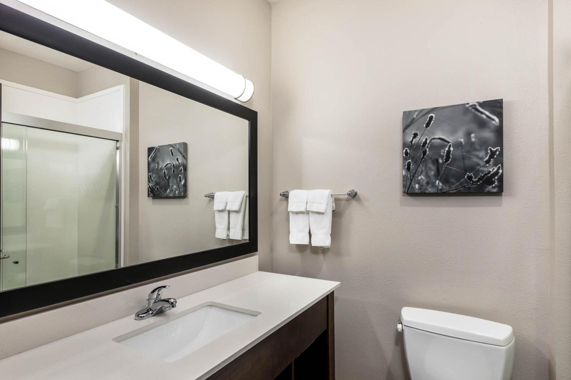 Comfort Inn & Suites photo 7