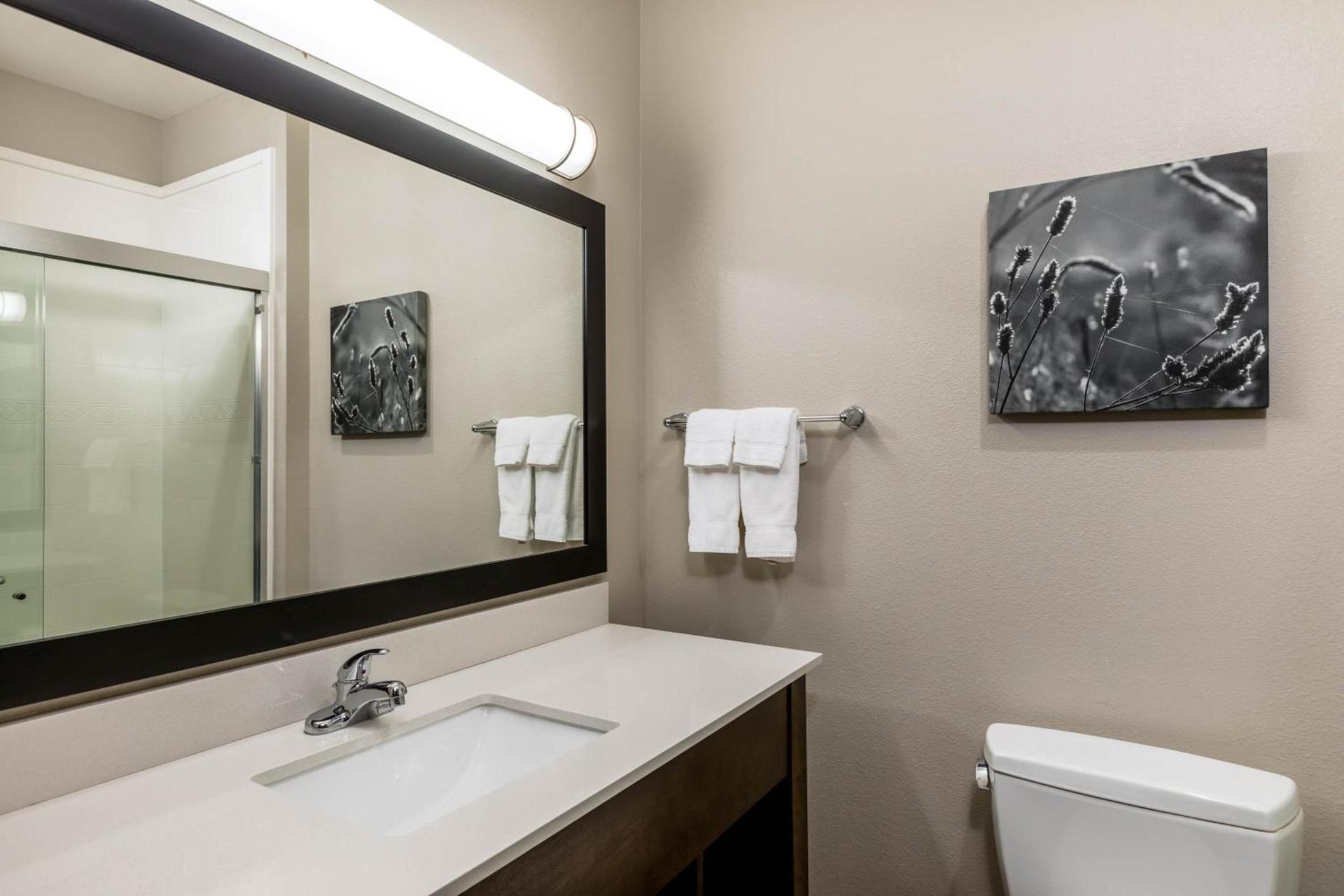 Comfort Inn & Suites photo 5