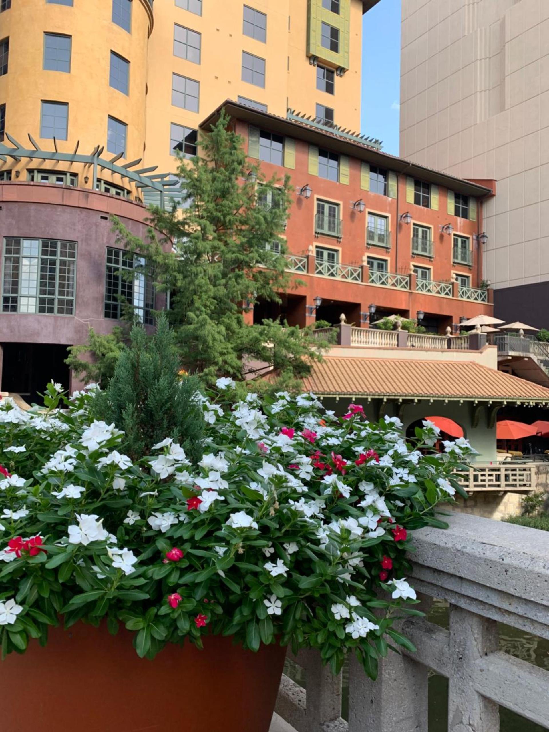 Hotel Valencia Riverwalk photo 4