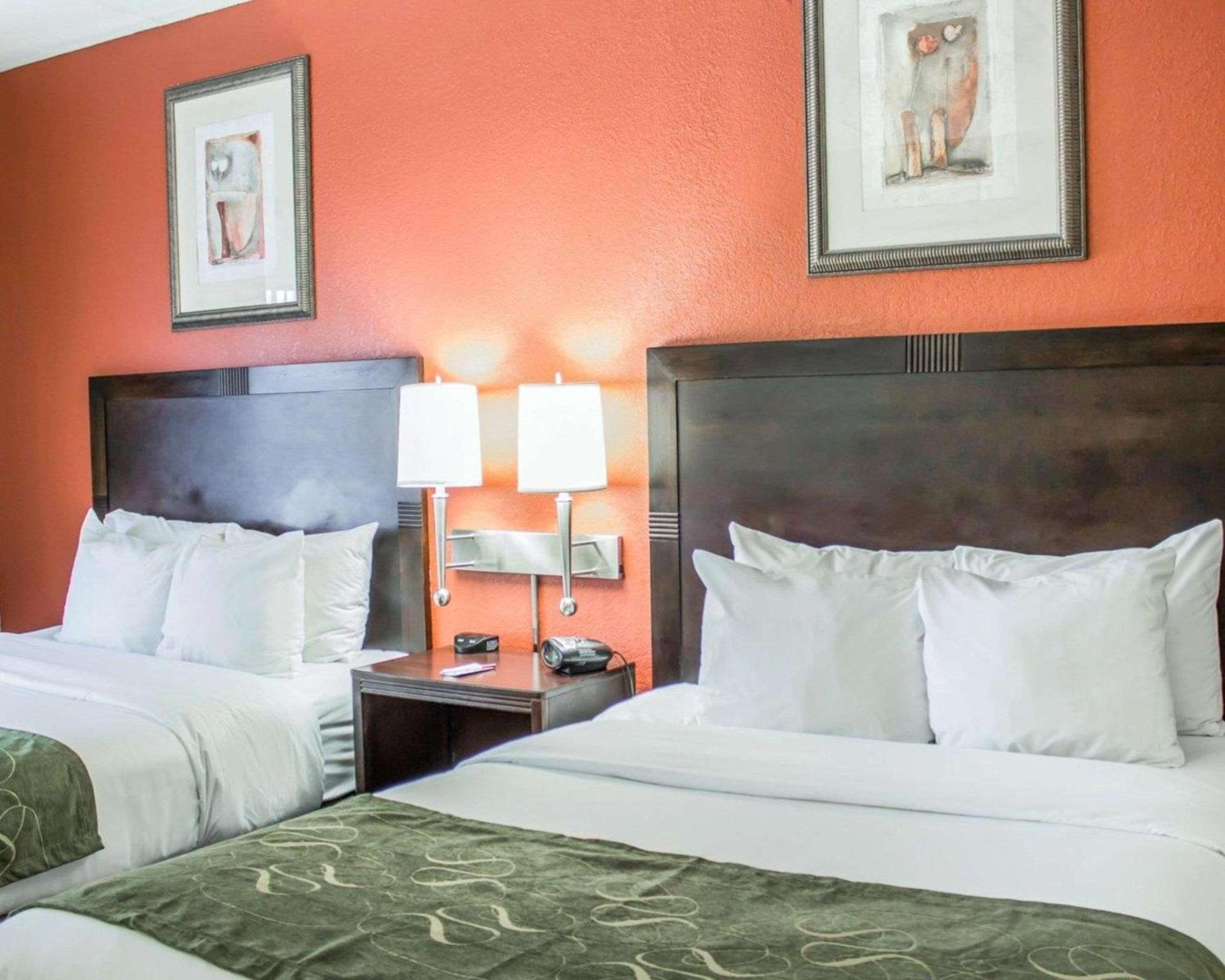 Comfort Suites Regency Park photo 21