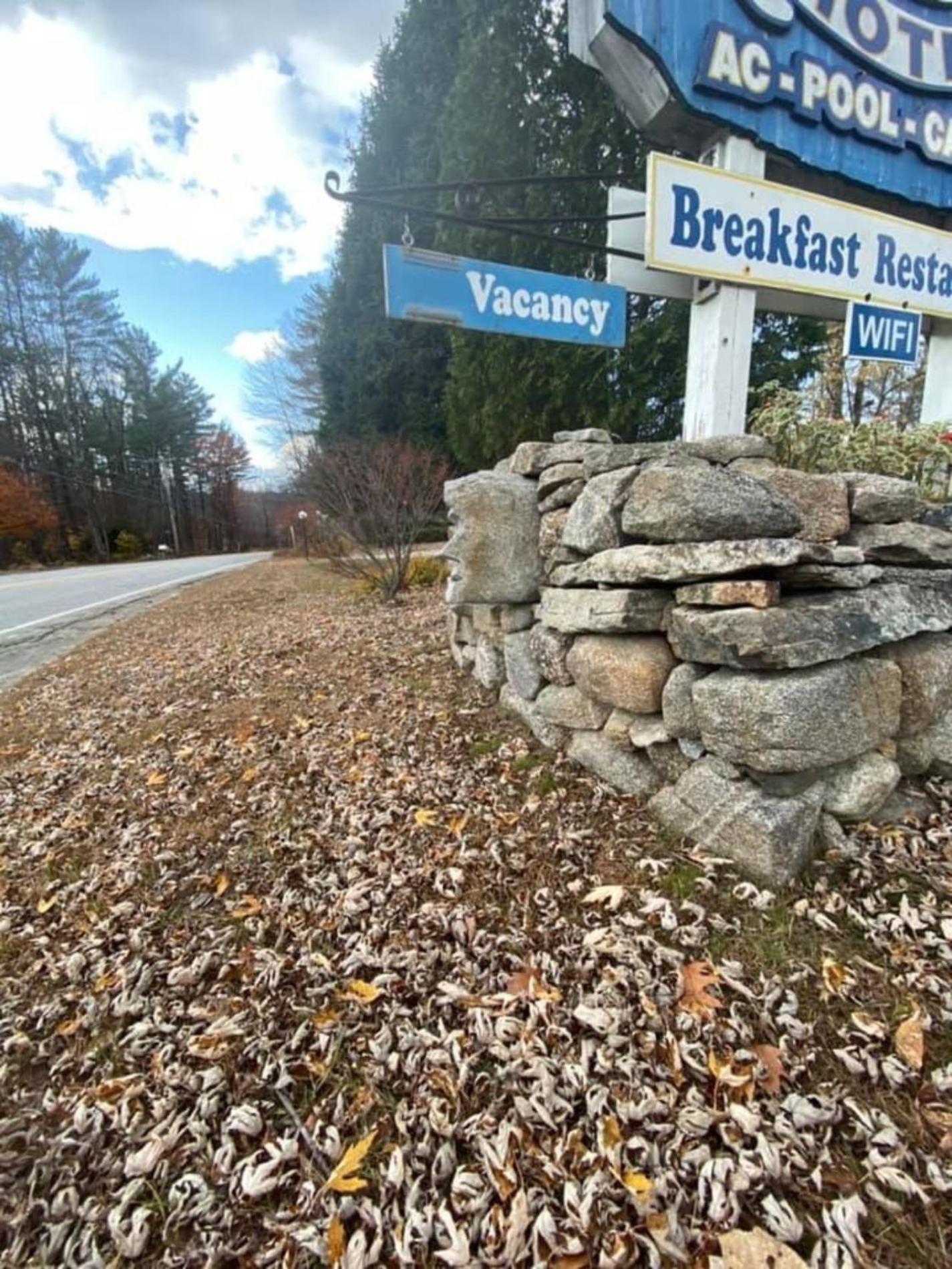 Yankee Trail Motel photo 27