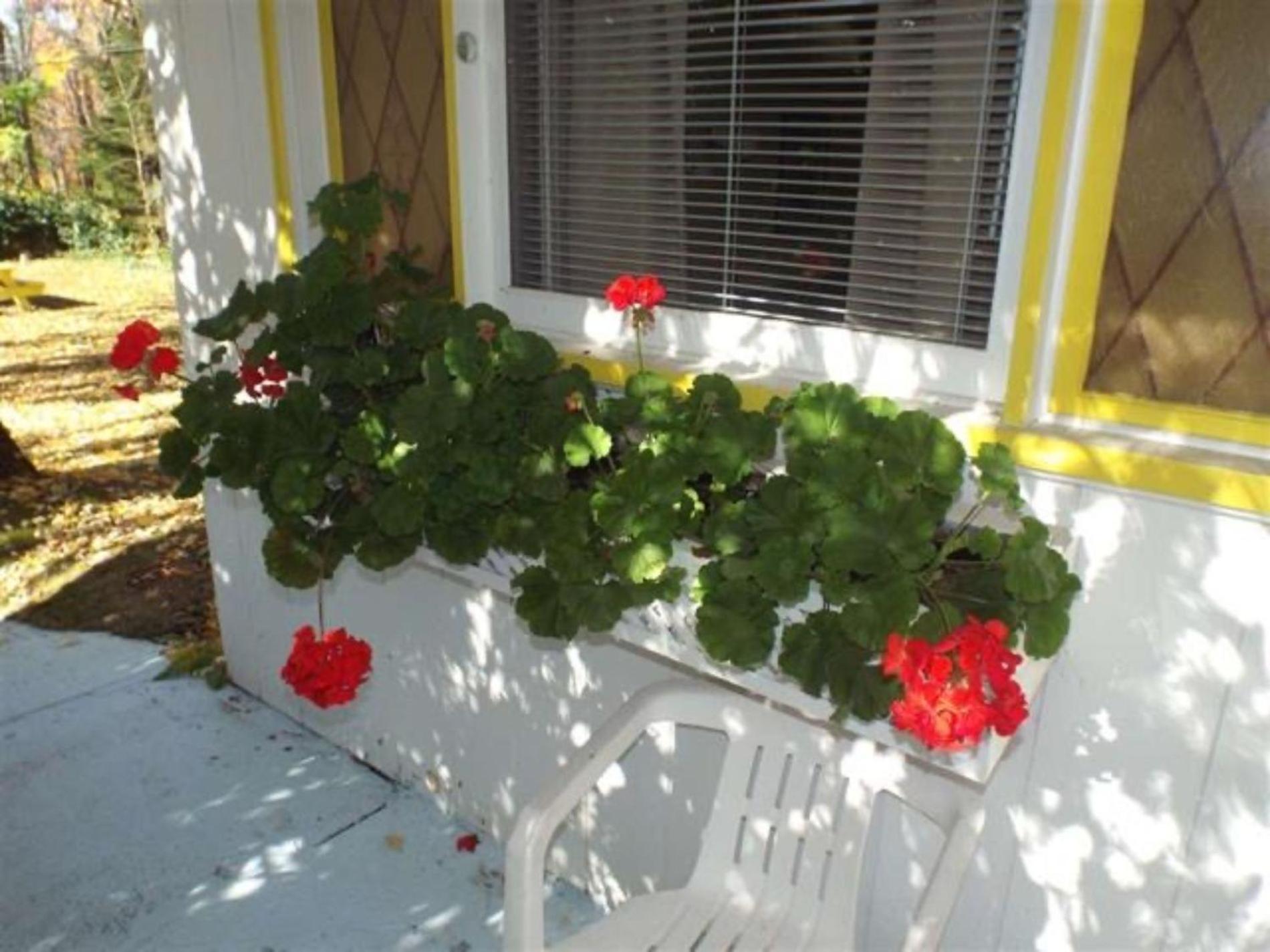 Yankee Trail Motel photo 23