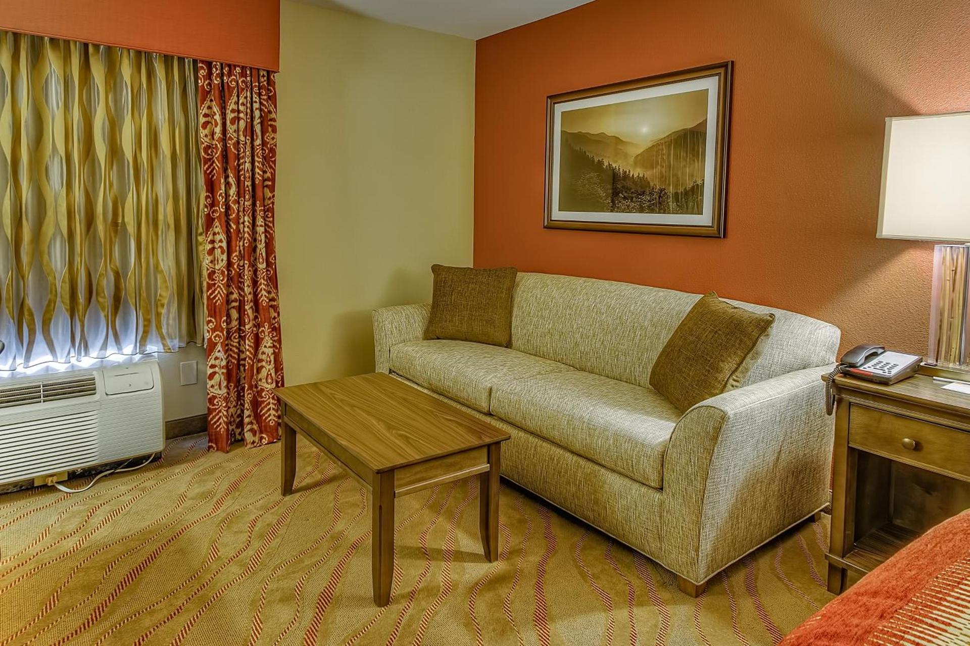 La Quinta by Wyndham Pigeon Forge photo 19