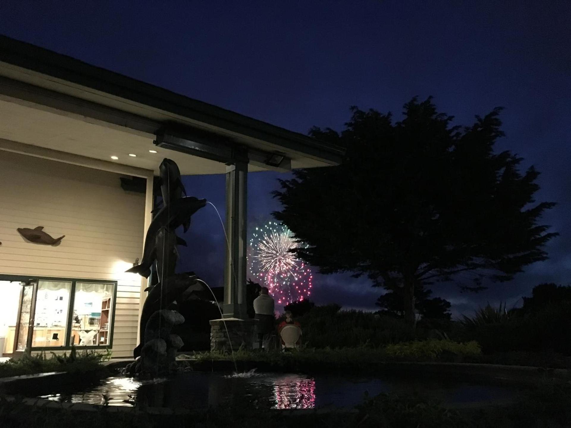 Emerald Dolphin Inn & Mini Golf photo 17