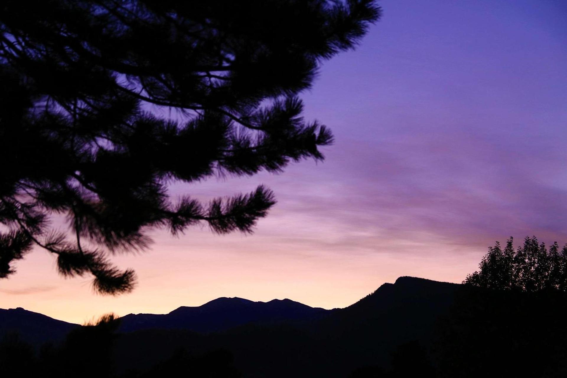 Quality Inn near Rocky Mountain National Park photo 2