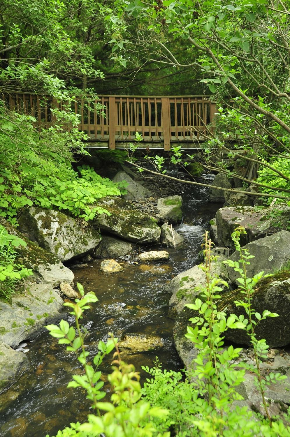 Stay Berkshires photo 12