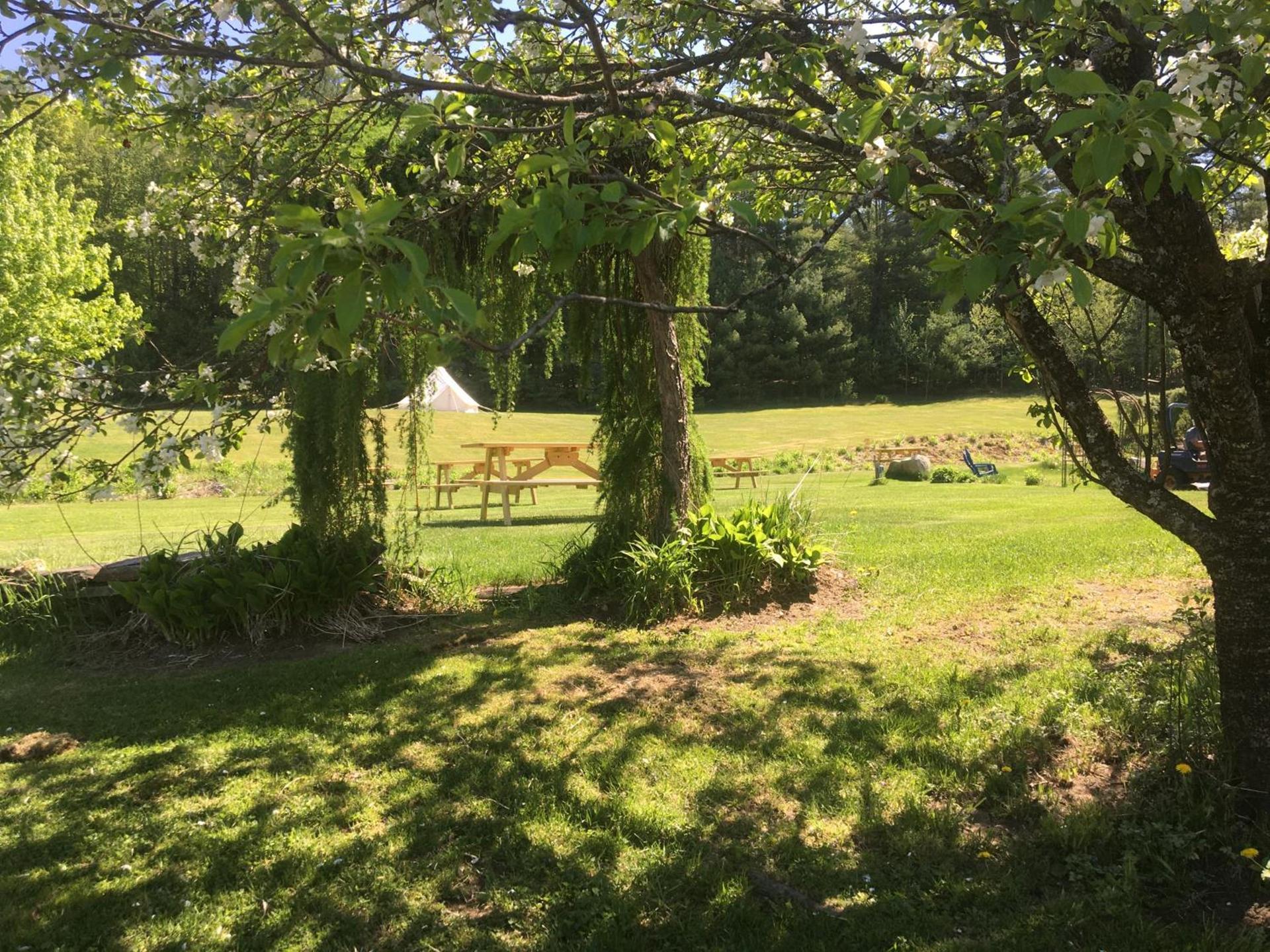 Craftsbury Farmhouse photo 34