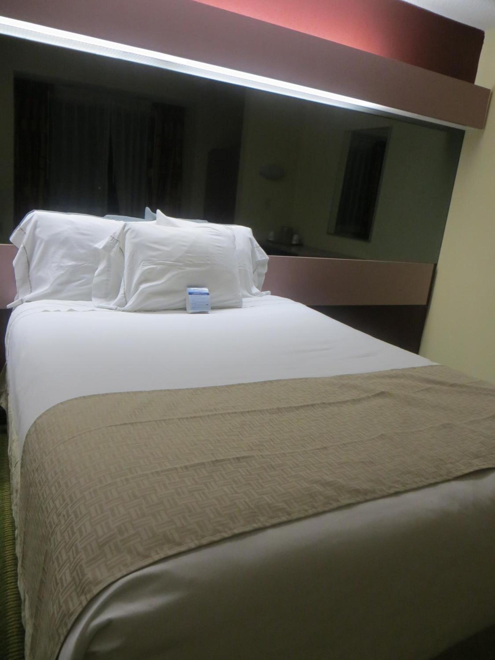 Quality Inn Knoxville West Cedar Bluff photo 3