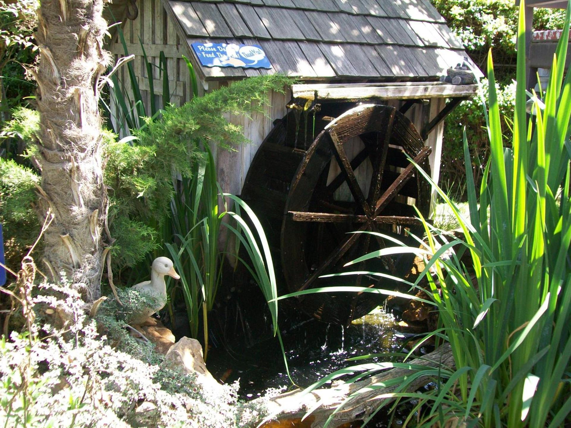 Adelaide Inn photo 12
