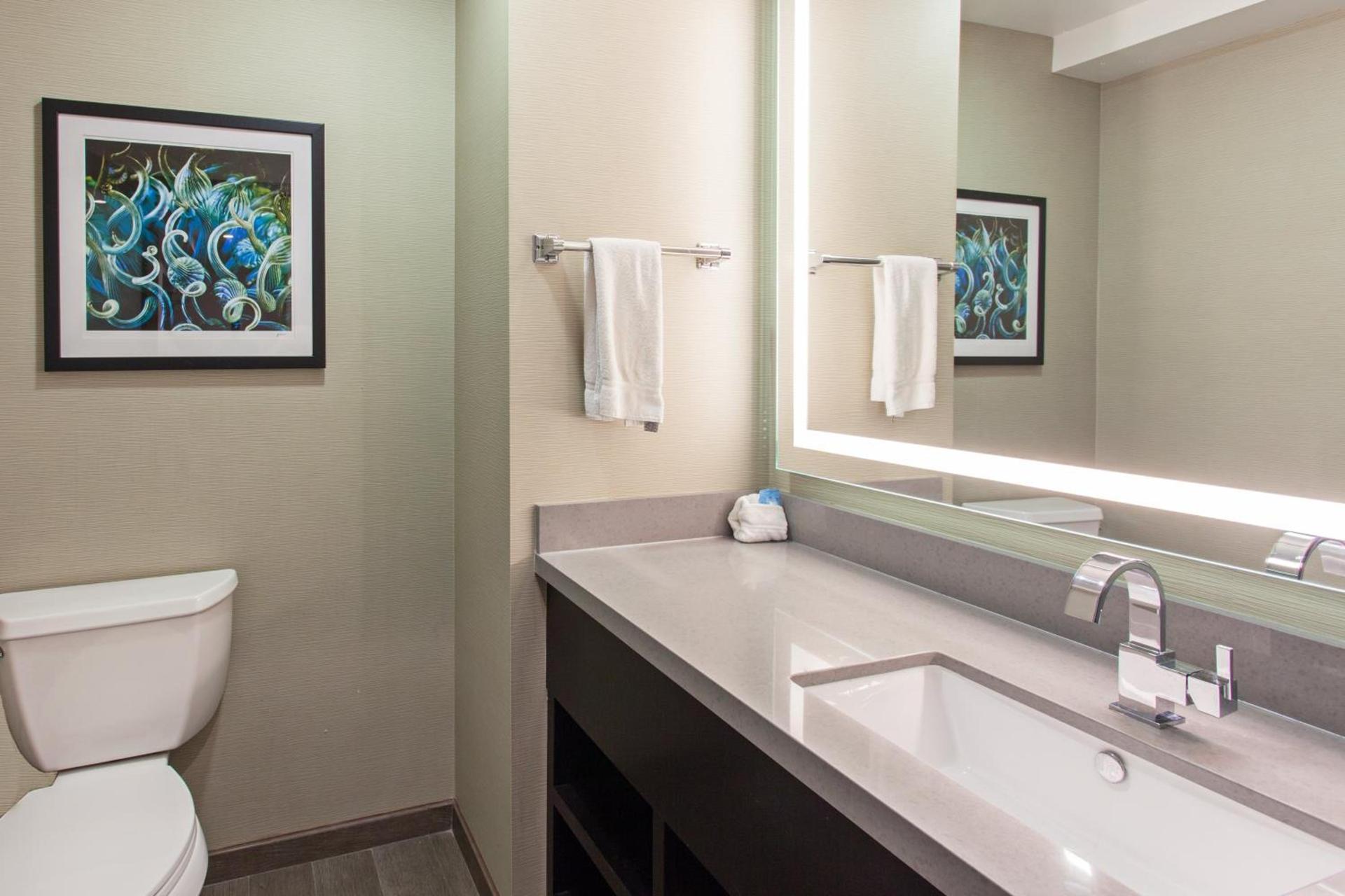 Holiday Inn Express Hollywood Walk of Fame by IHG photo 43