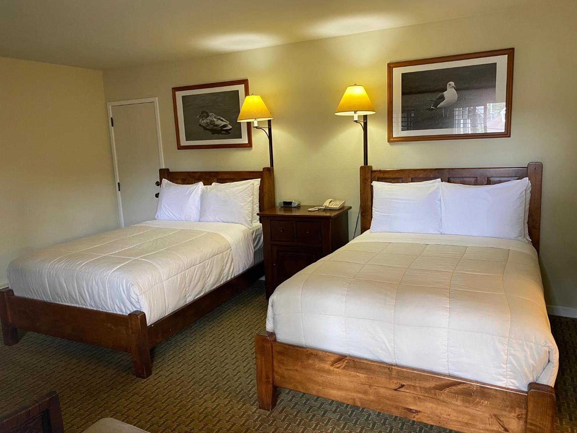 The Olympia Lodge photo 9