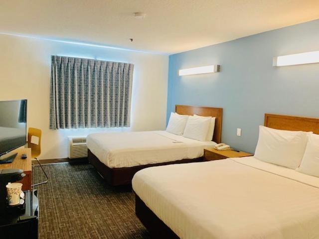 Comfort Inn Rohnert Park Sonoma County photo 4
