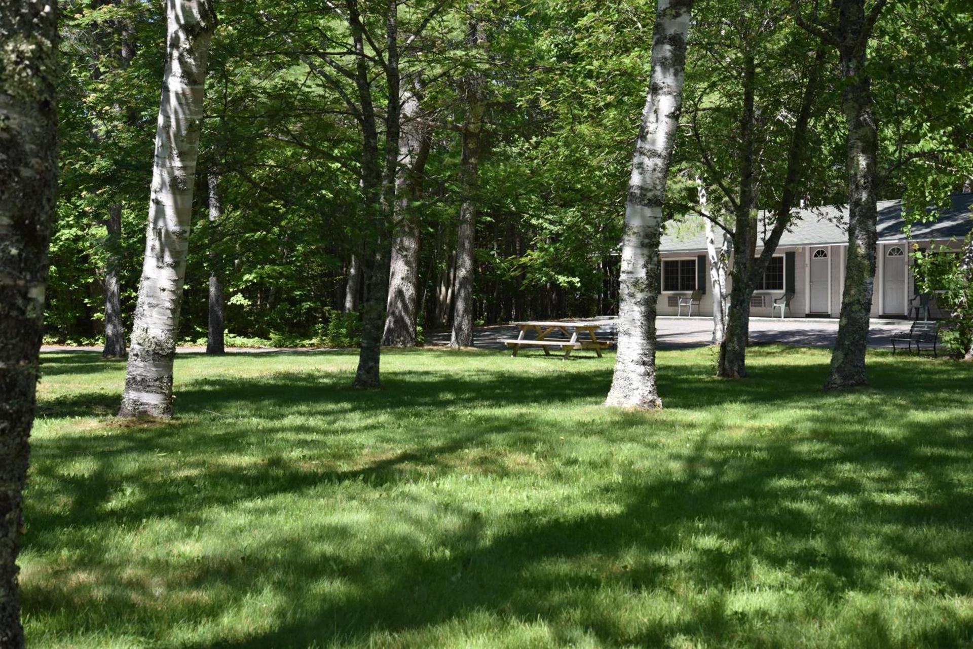 Acadia Pines Motel photo 6
