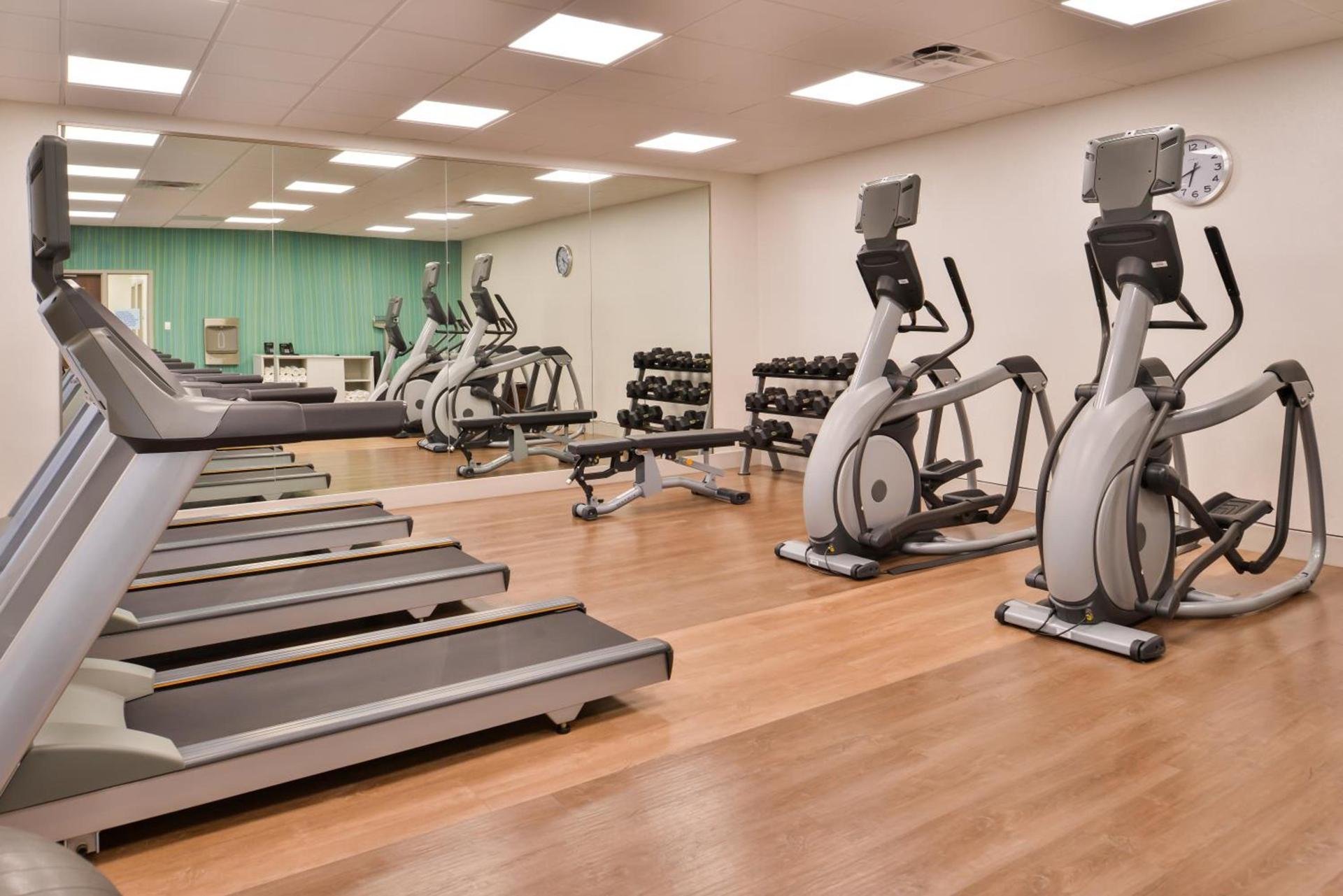 Holiday Inn Express & Suites - Van Horn by IHG photo 20