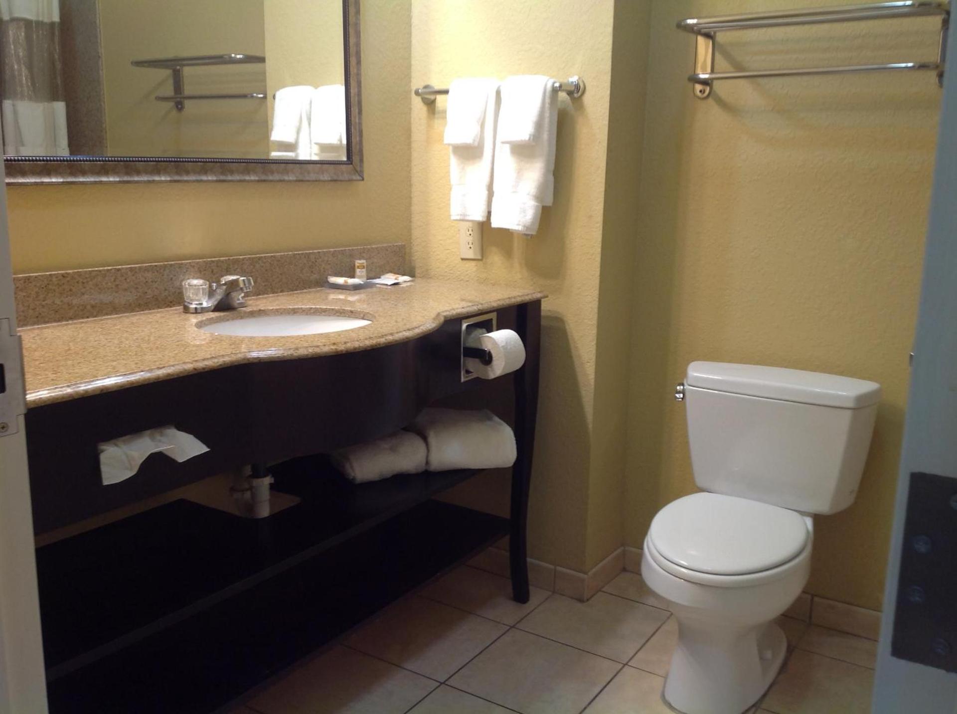 La Quinta by Wyndham Vicksburg photo 5