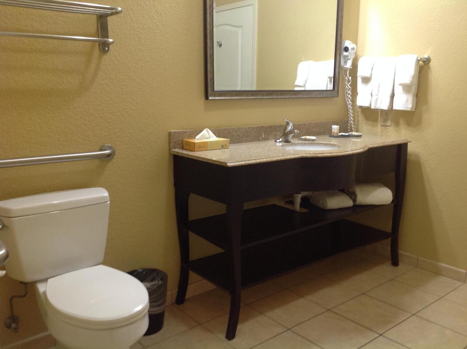 La Quinta by Wyndham Vicksburg photo 3