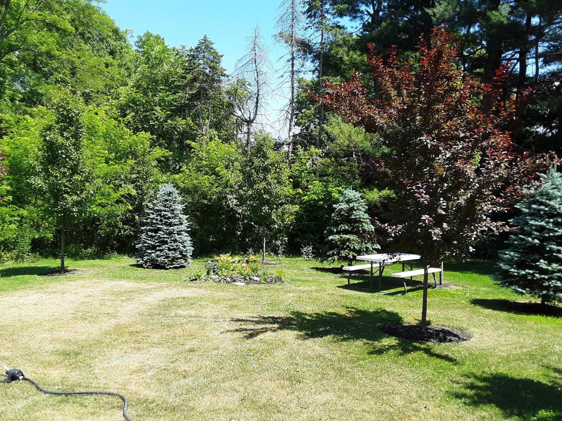 The Fields of Eden Inn photo 9