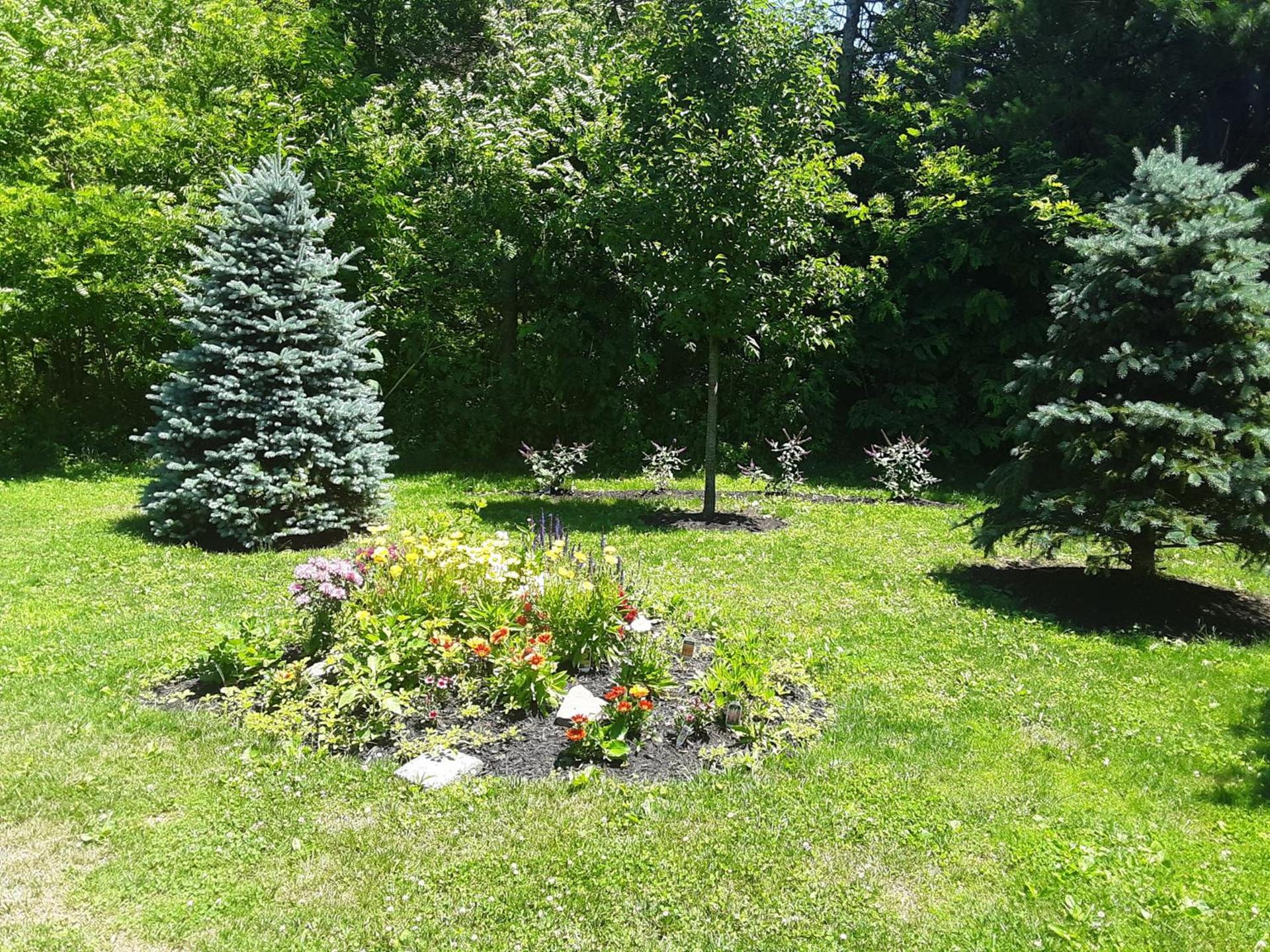 The Fields of Eden Inn photo 8