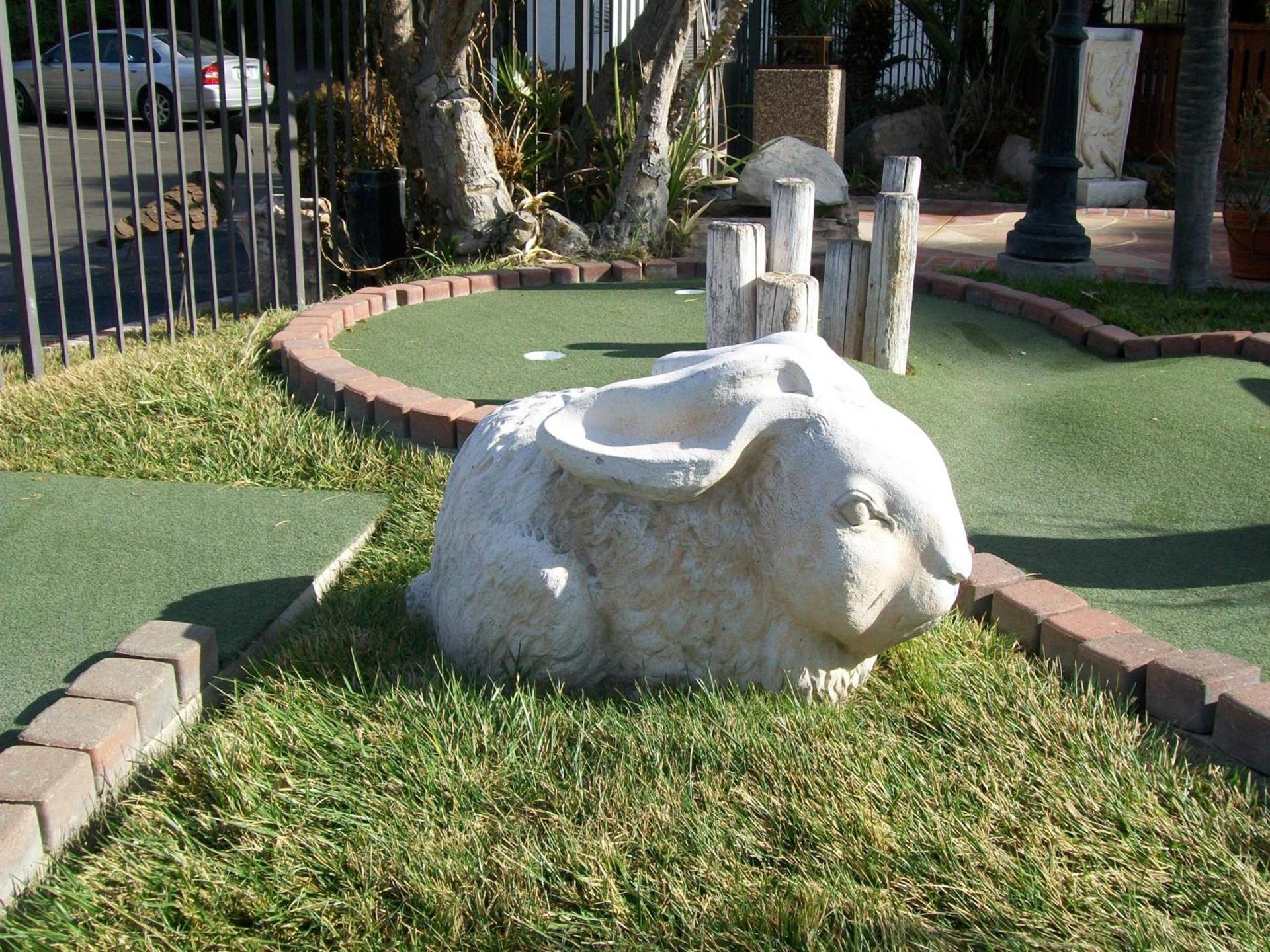 Adelaide Inn photo 23