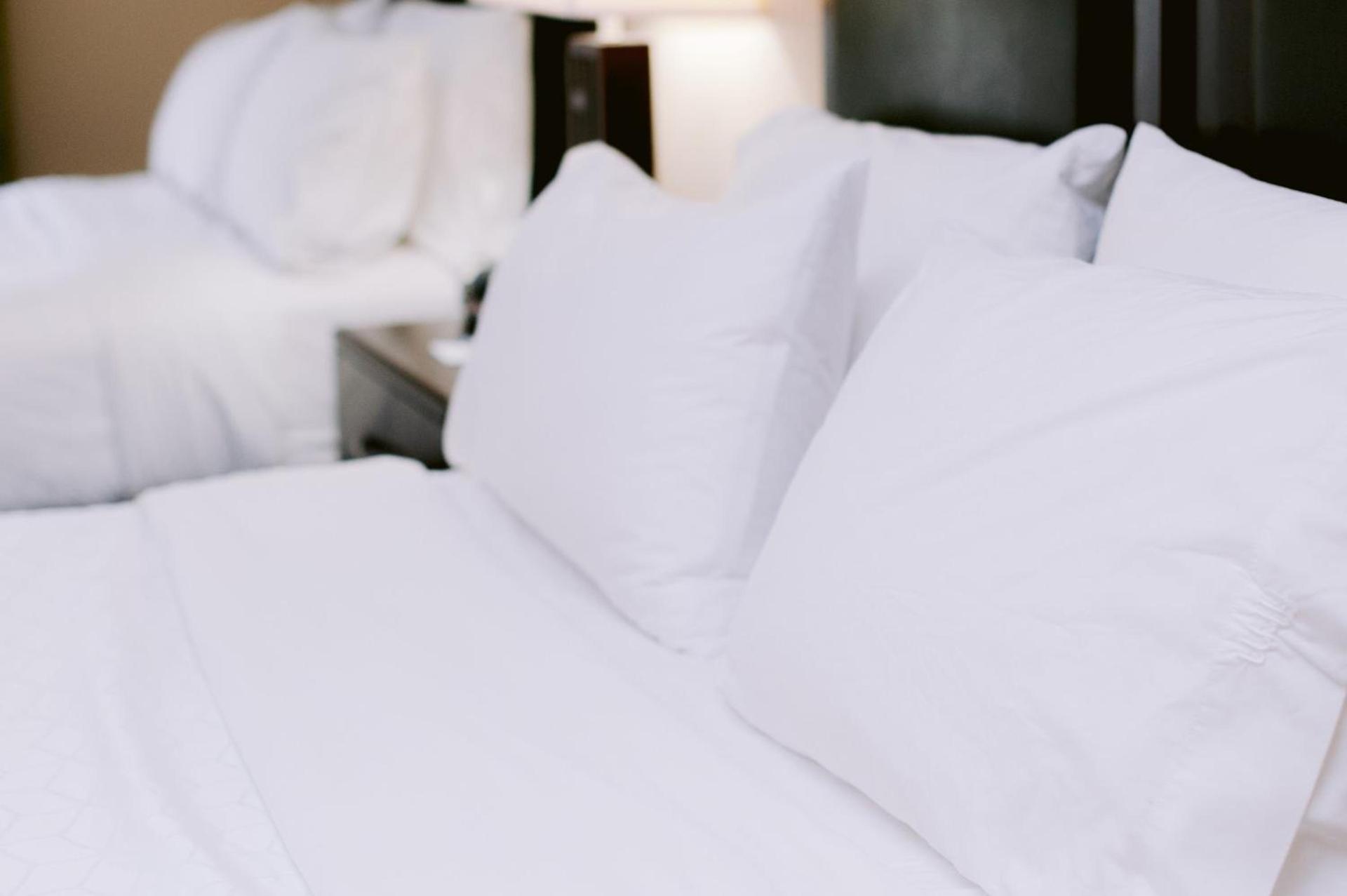 Holiday Inn Express Hotel Raleigh Southwest by IHG photo 11