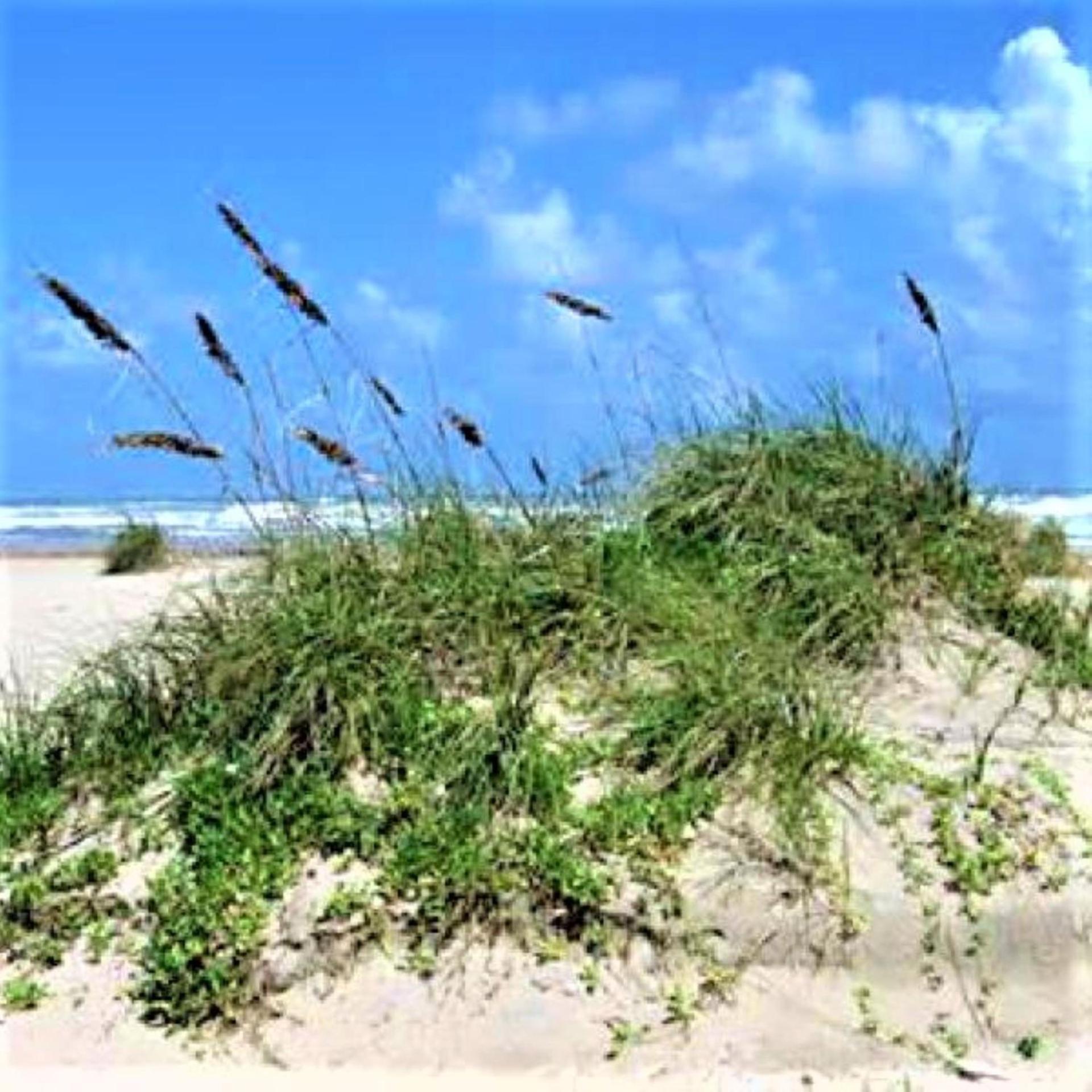 Village by the Gulf photo 11