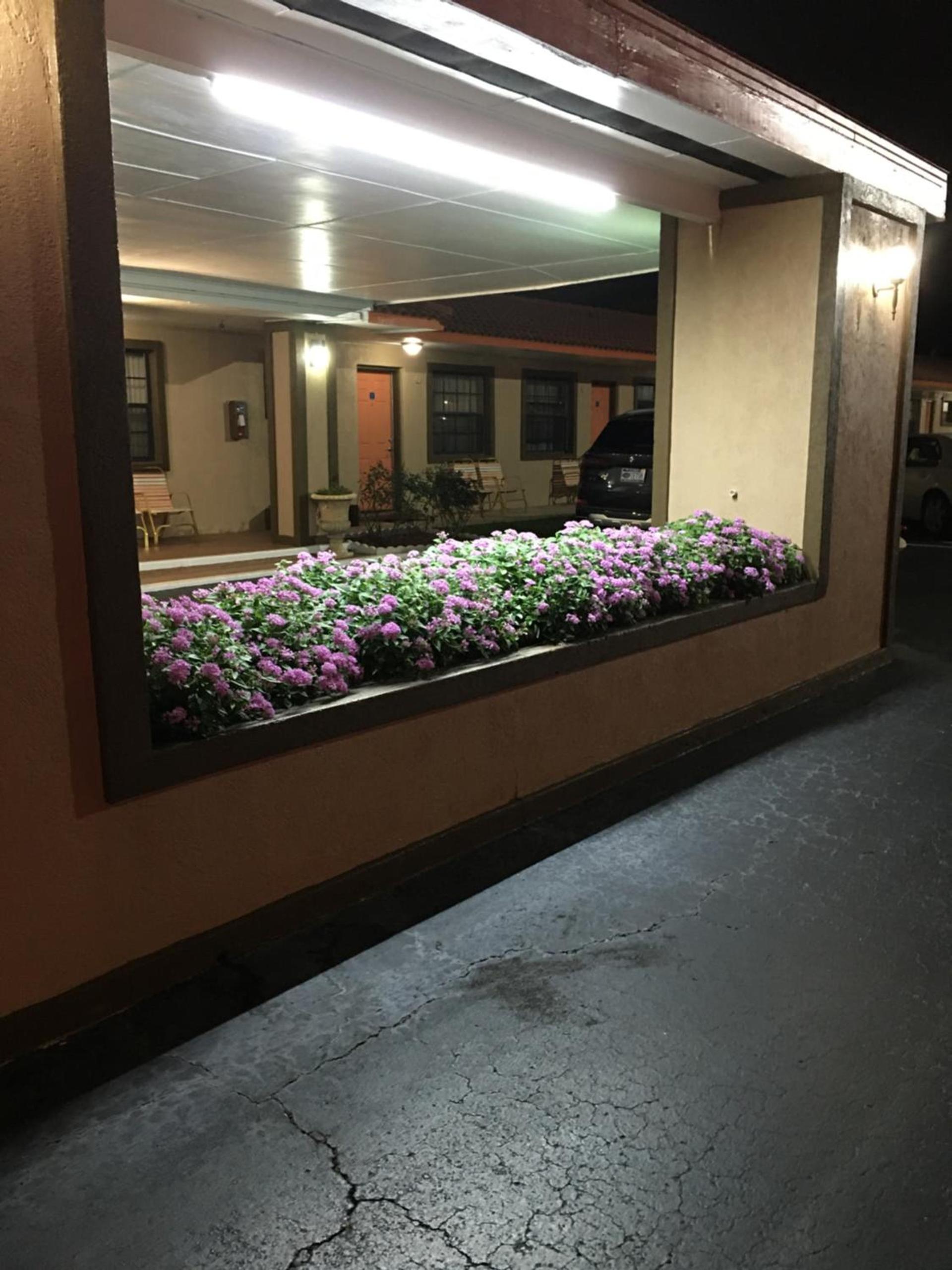 Silver Princess Motel — hotel in Ocala