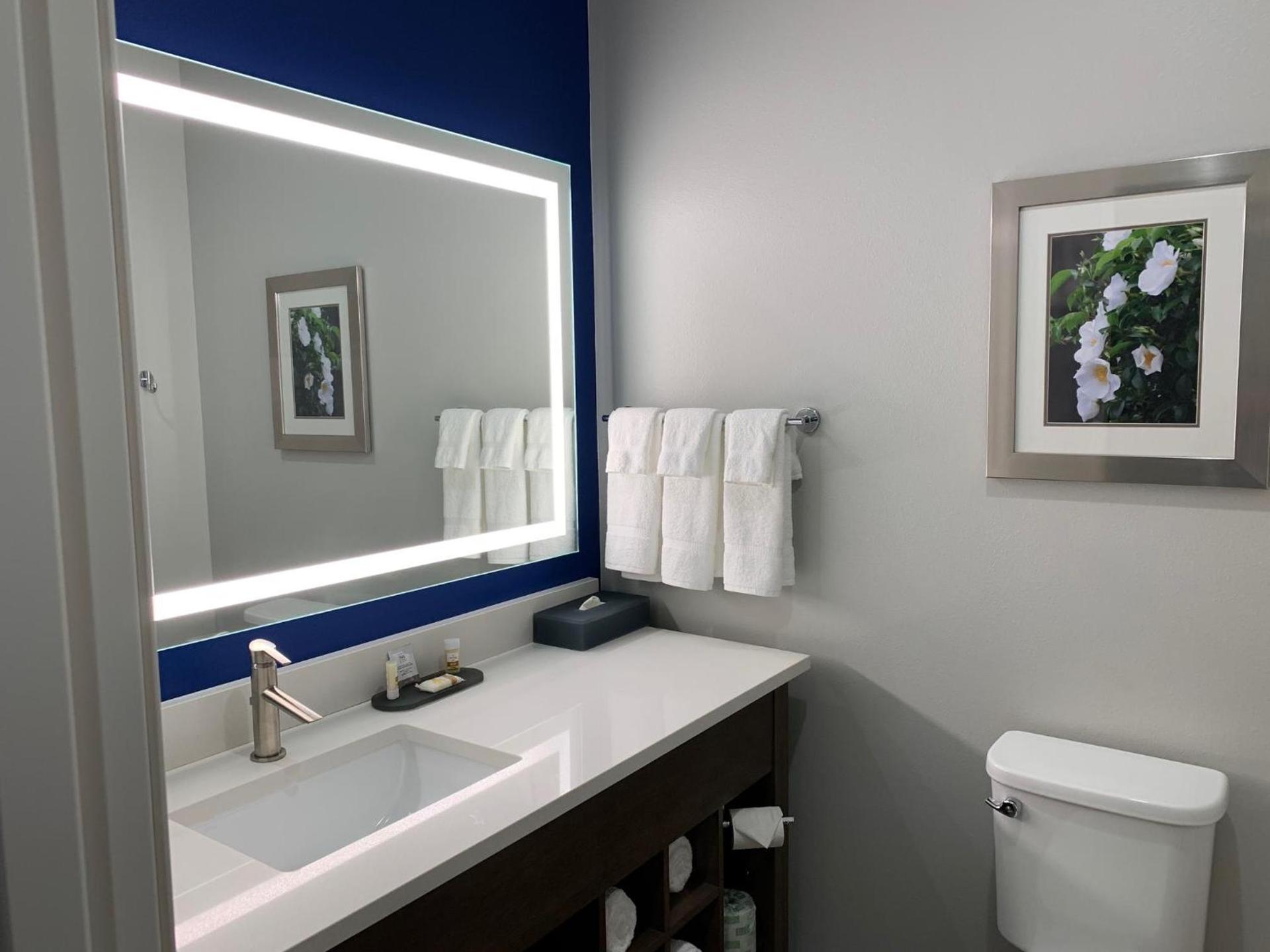 La Quinta Inn & Suites by Wyndham Tifton photo 42