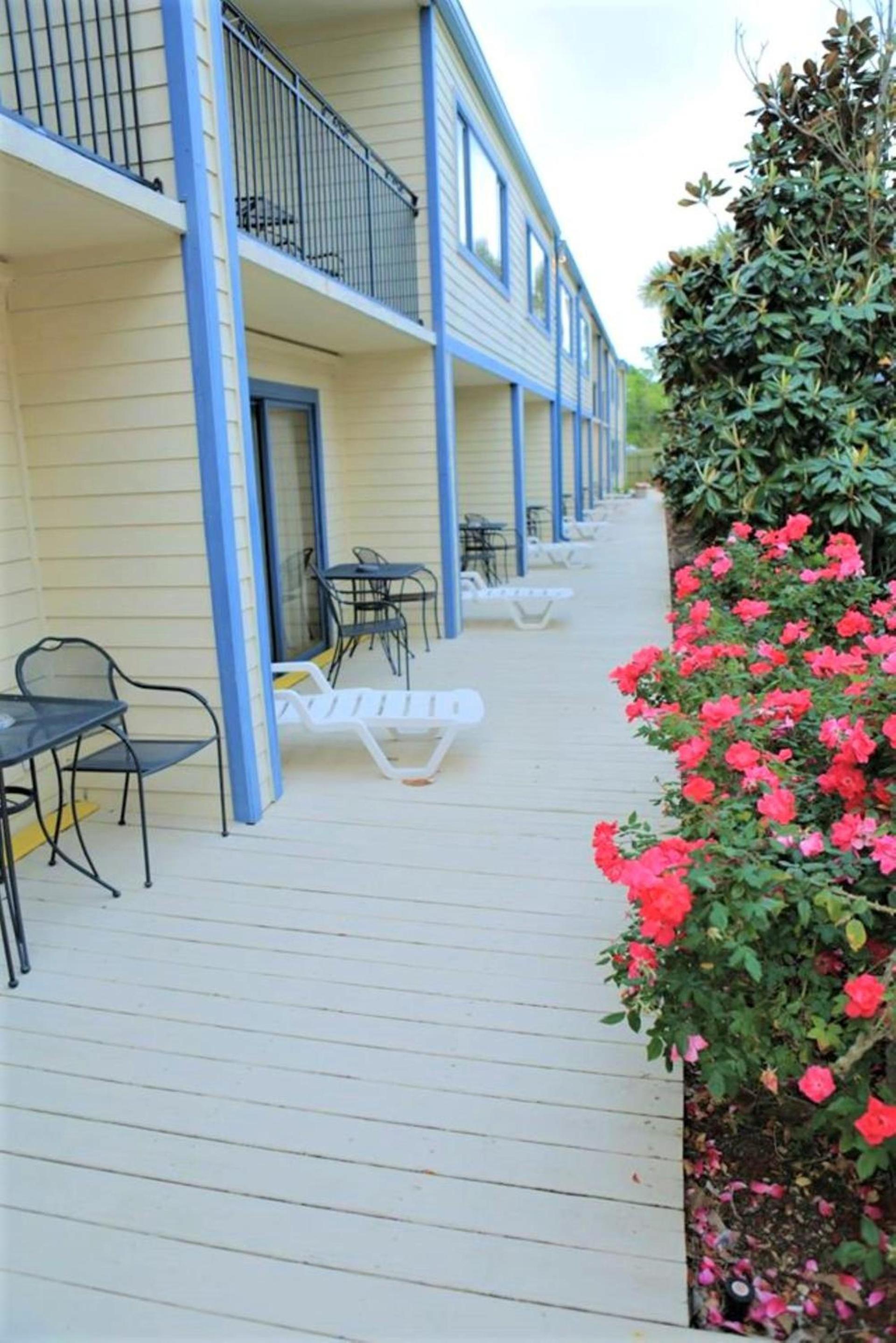 Royal Holiday Beach Resort photo 3