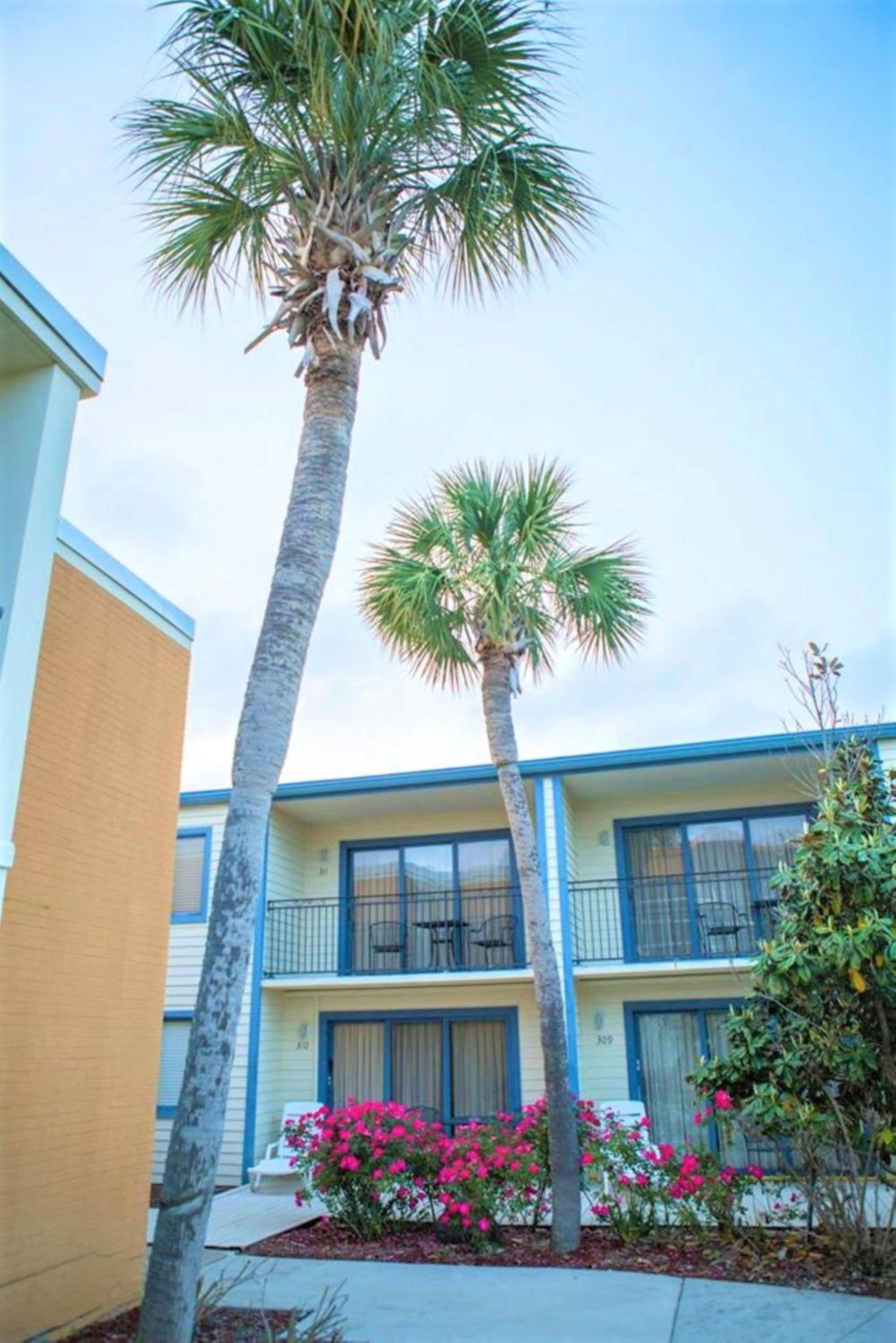 Royal Holiday Beach Resort photo 4