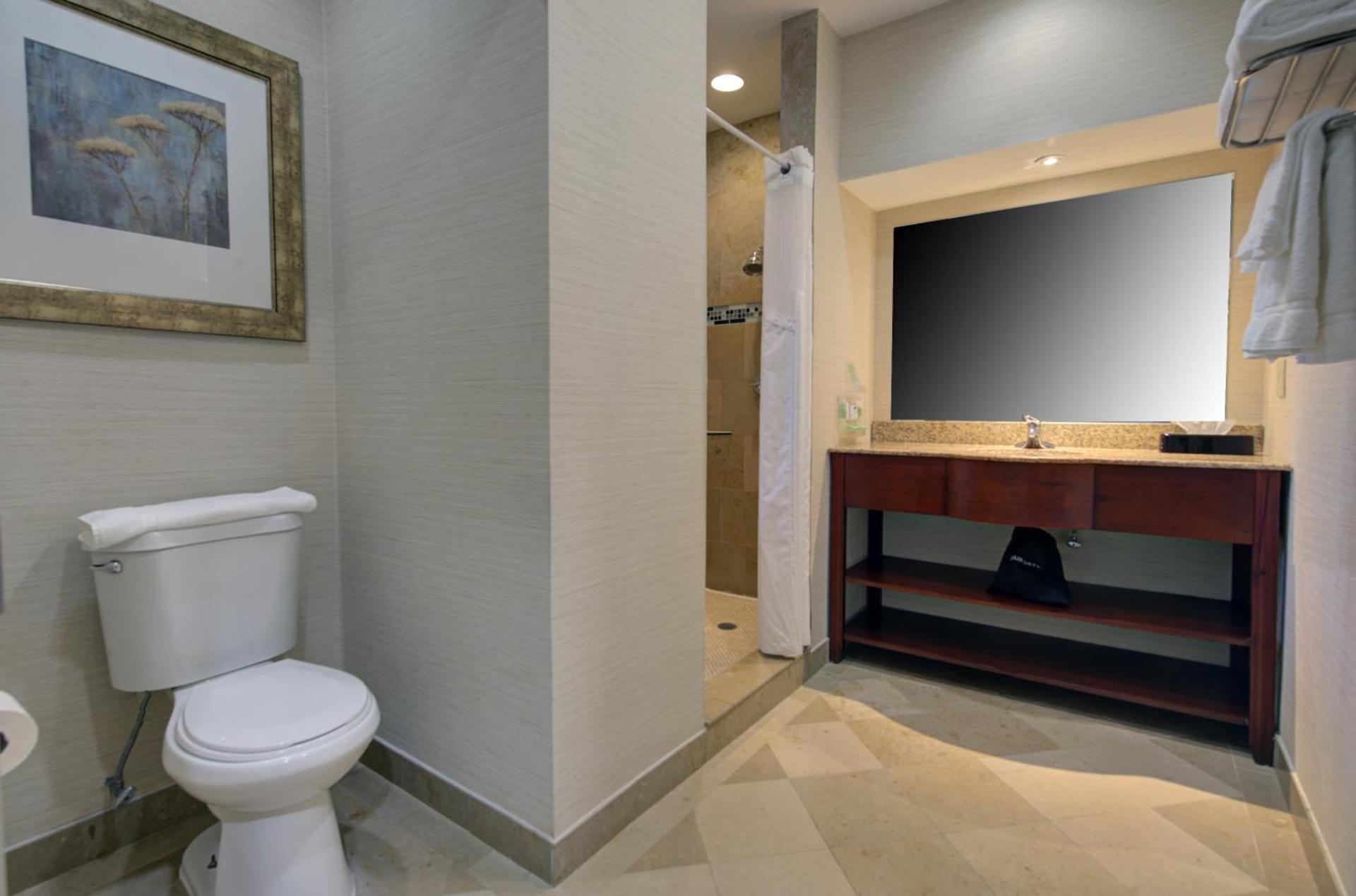 Holiday Inn Plainview-Long Island by IHG photo 22