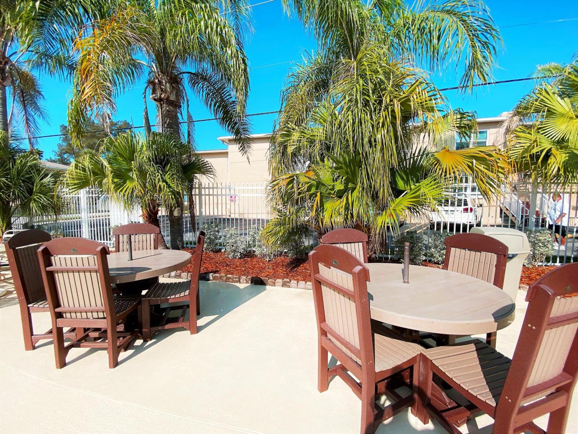 Camelot by the Sea photo 17