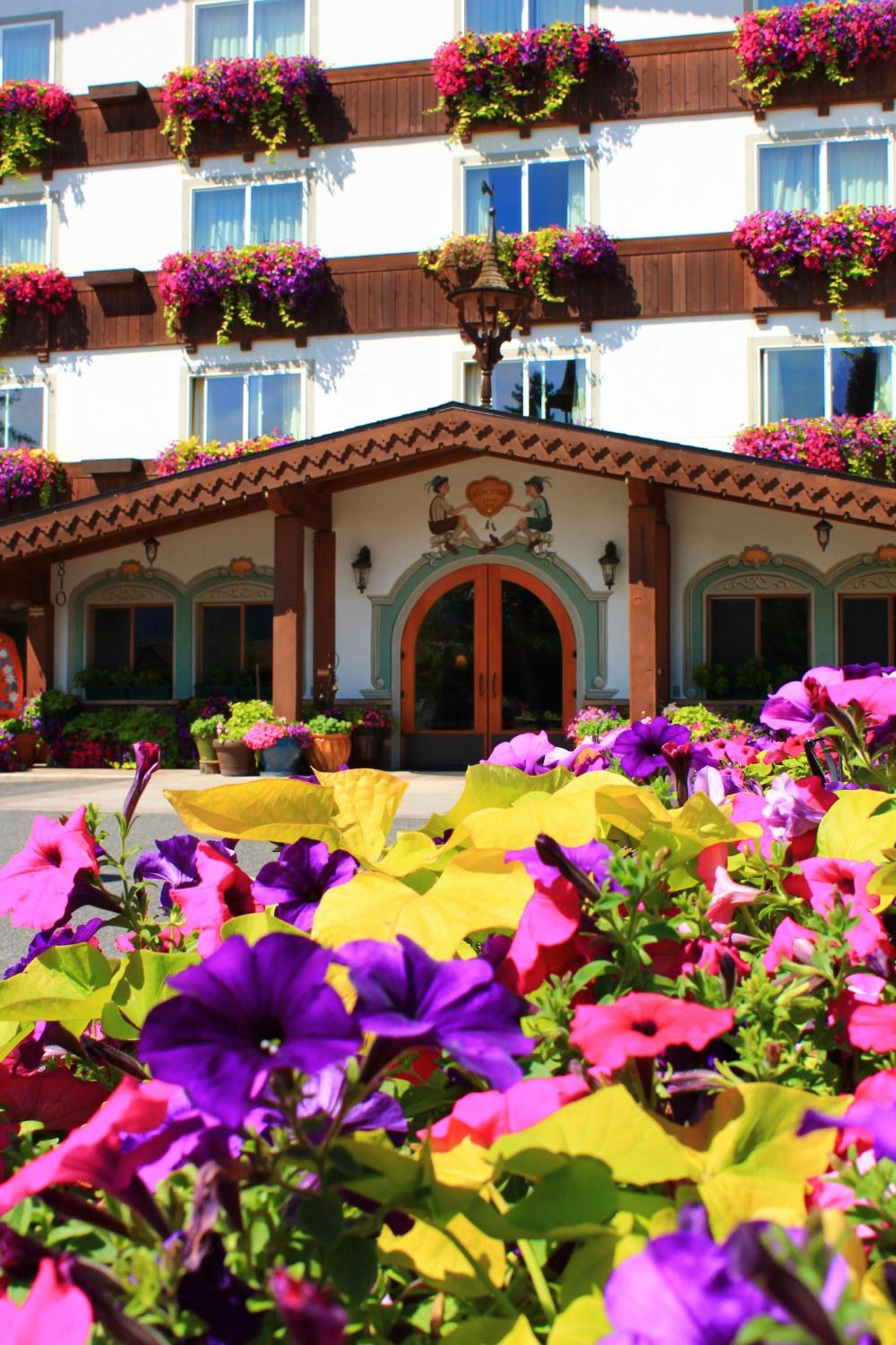 Bavarian Lodge photo 9