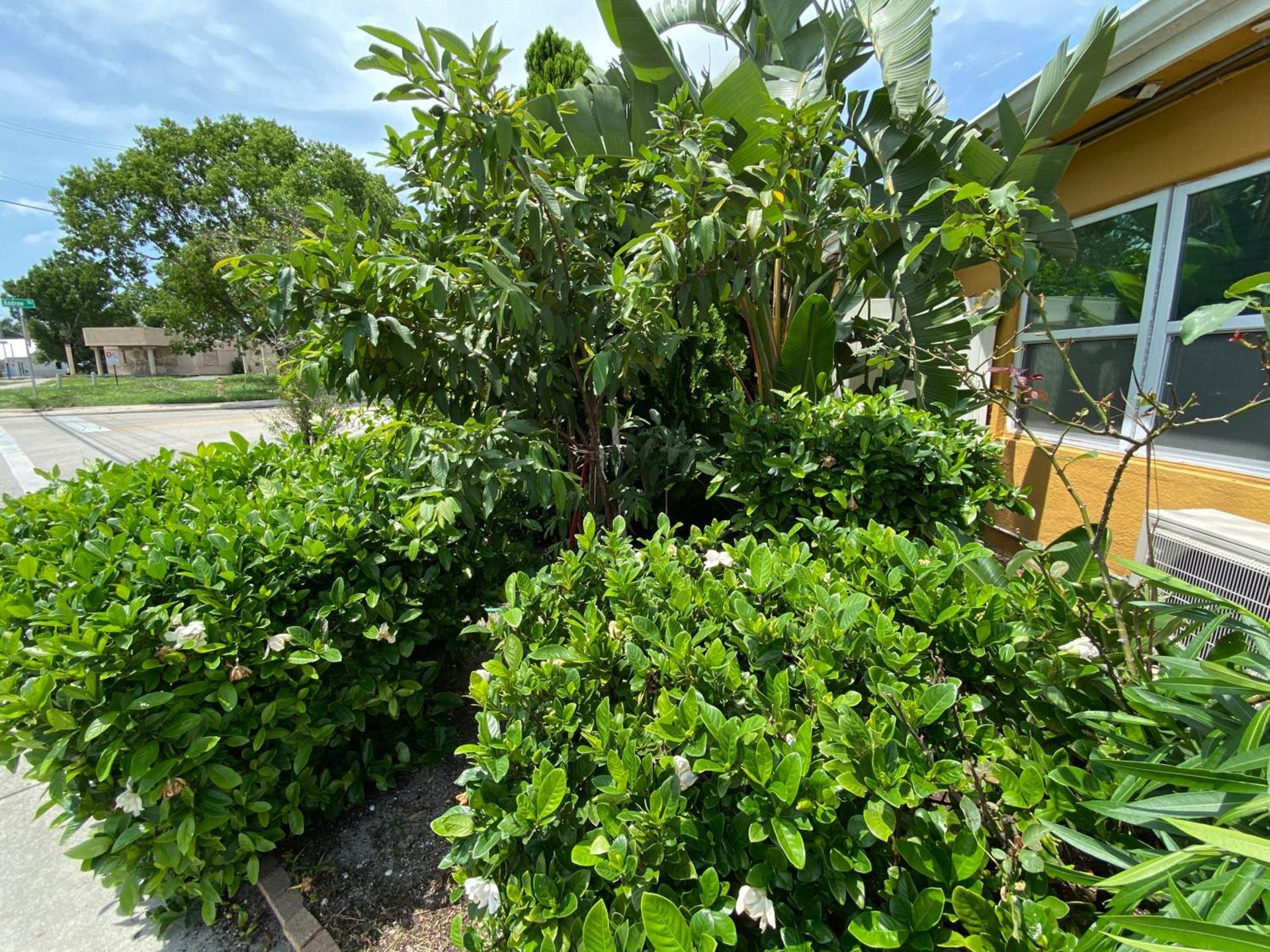 Glades Motel - Naples photo 99