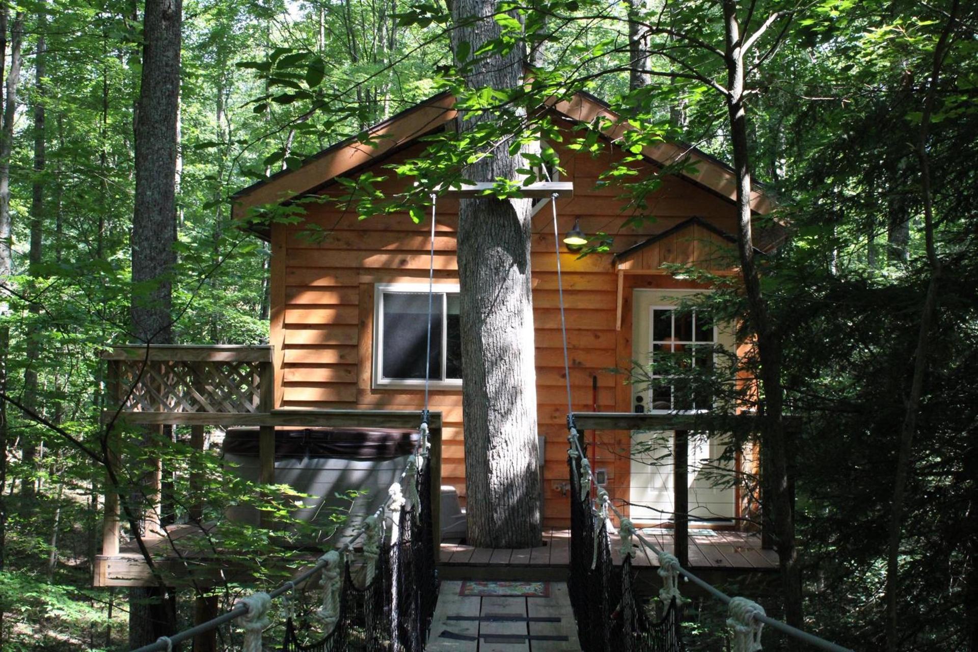Country Road Cabins photo 40