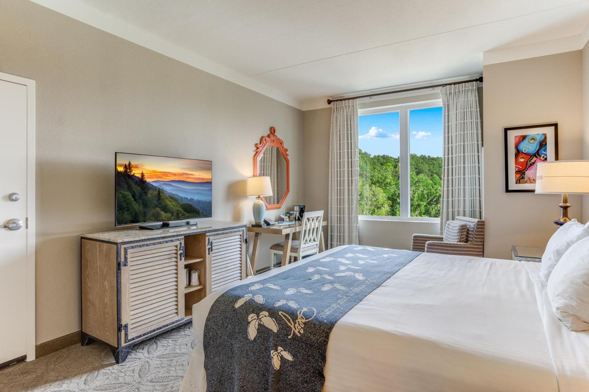 Dollywood's DreamMore Resort and Spa photo 14