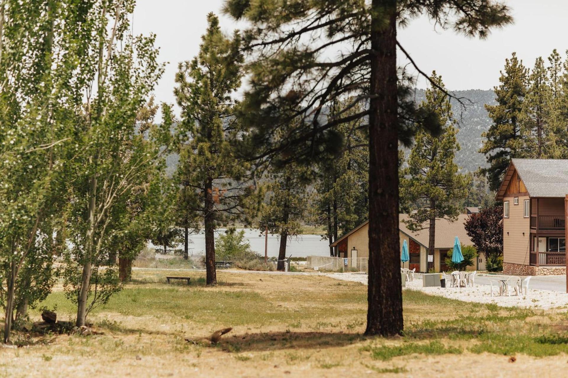 Vintage Lakeside Inn photo 14